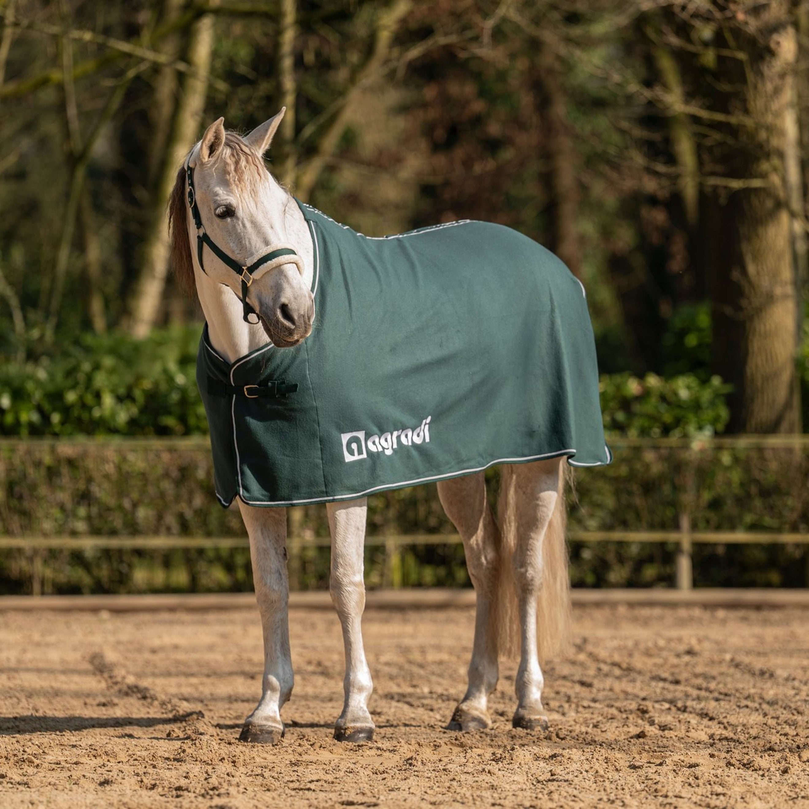 Agradi Horse Couverture Polaire Economic Fir Green