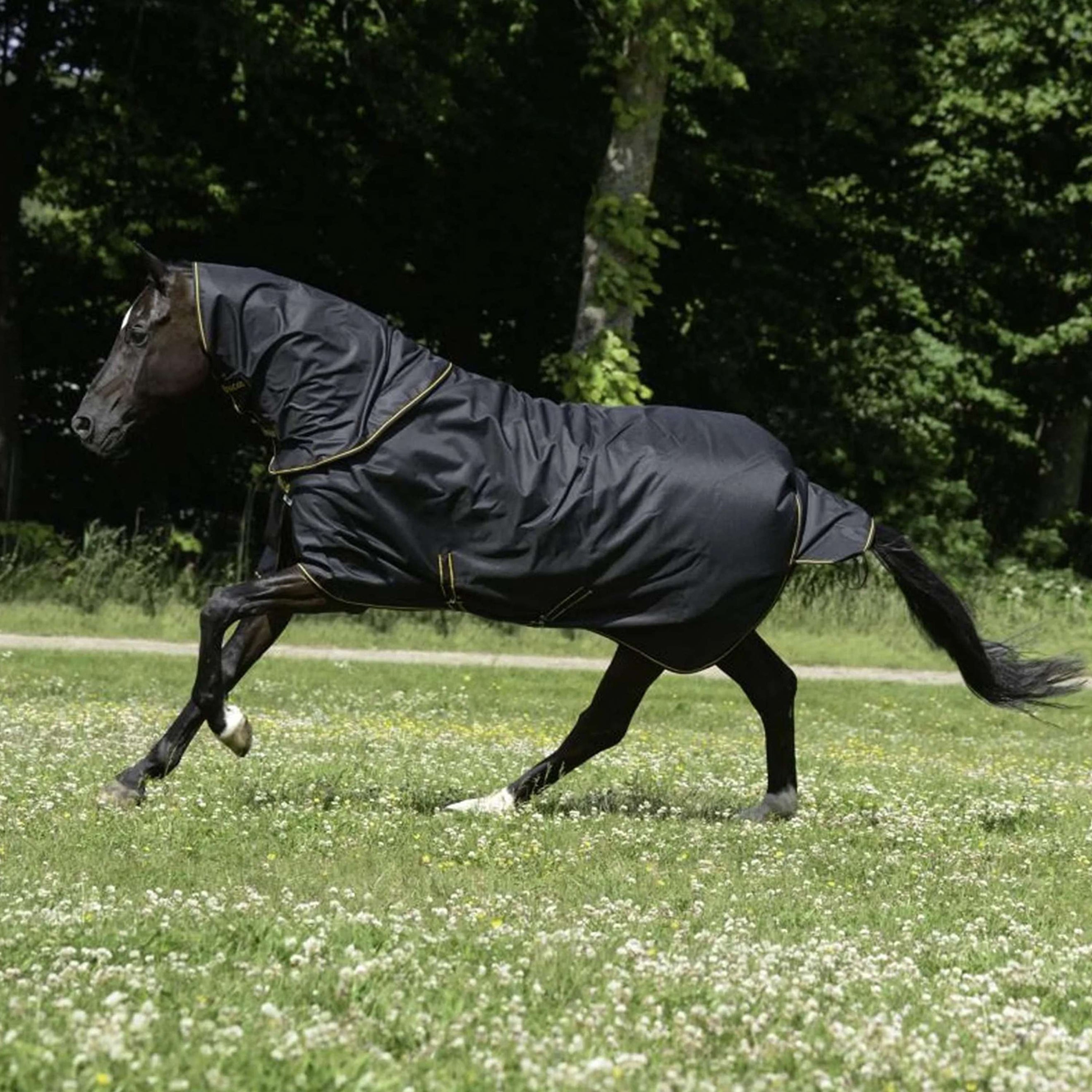 Bucas Couvre-Cou Irish Turnout Combi Neck 300g Noir/Or