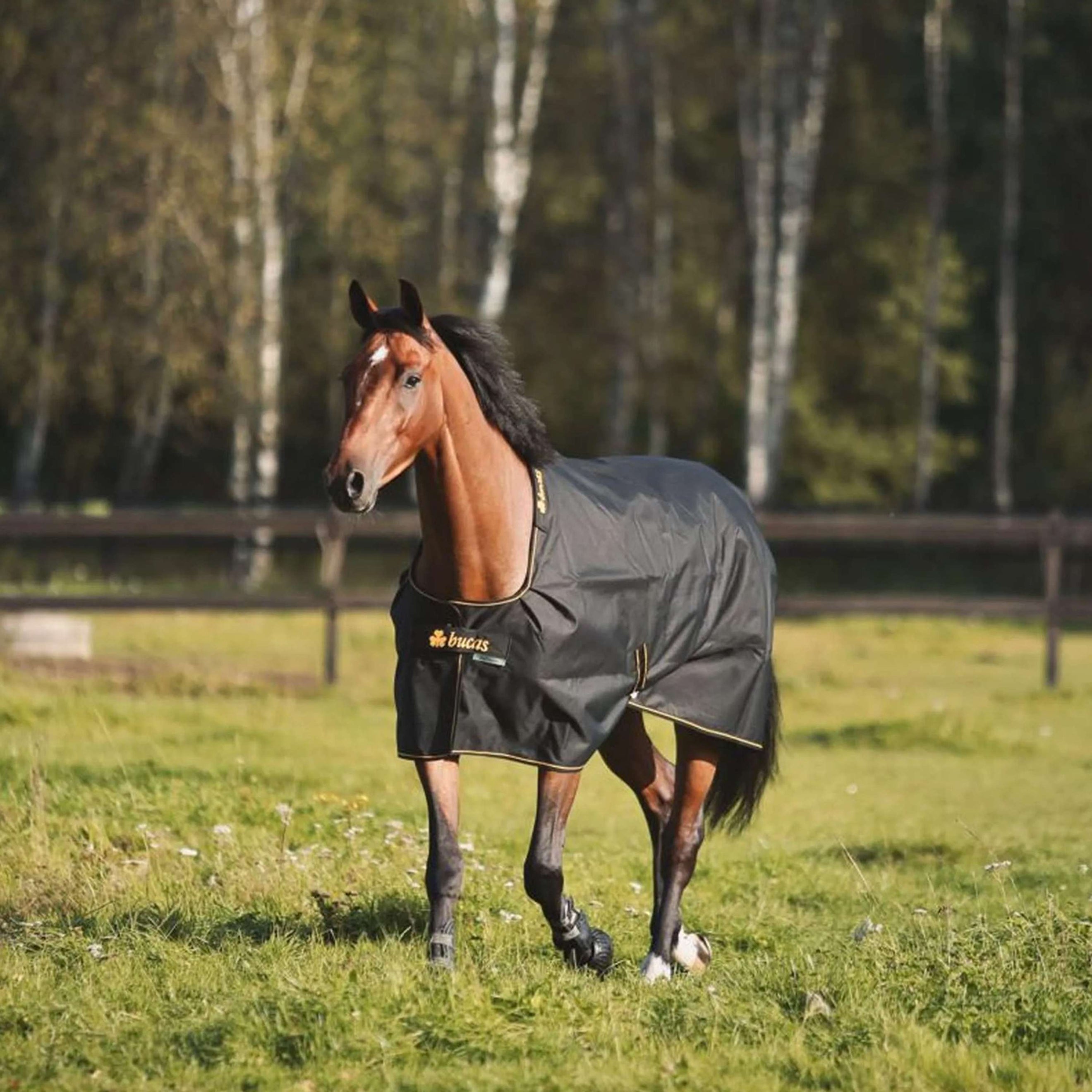 Bucas Irish Turnout 250g Noir/Or Bucas Irish Turnout 250g Noir/Or