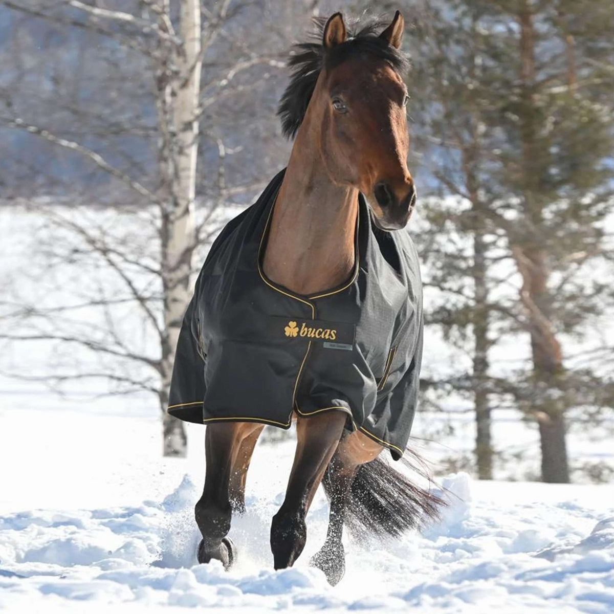 Bucas Irish Turnout 250g Noir/Or