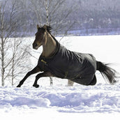 Bucas Irish Turnout 250g Noir/Or