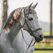 F.R.A. Bridon sans Mors Esprit nature