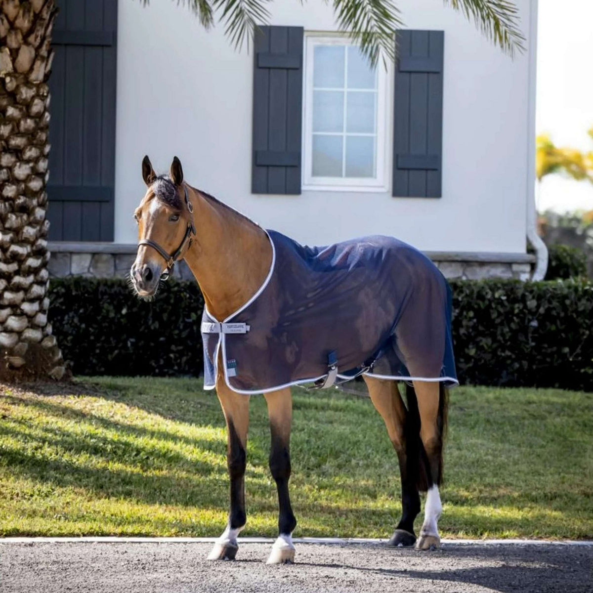 Amigo Net Cooler Marine/Gris Titane/Argent