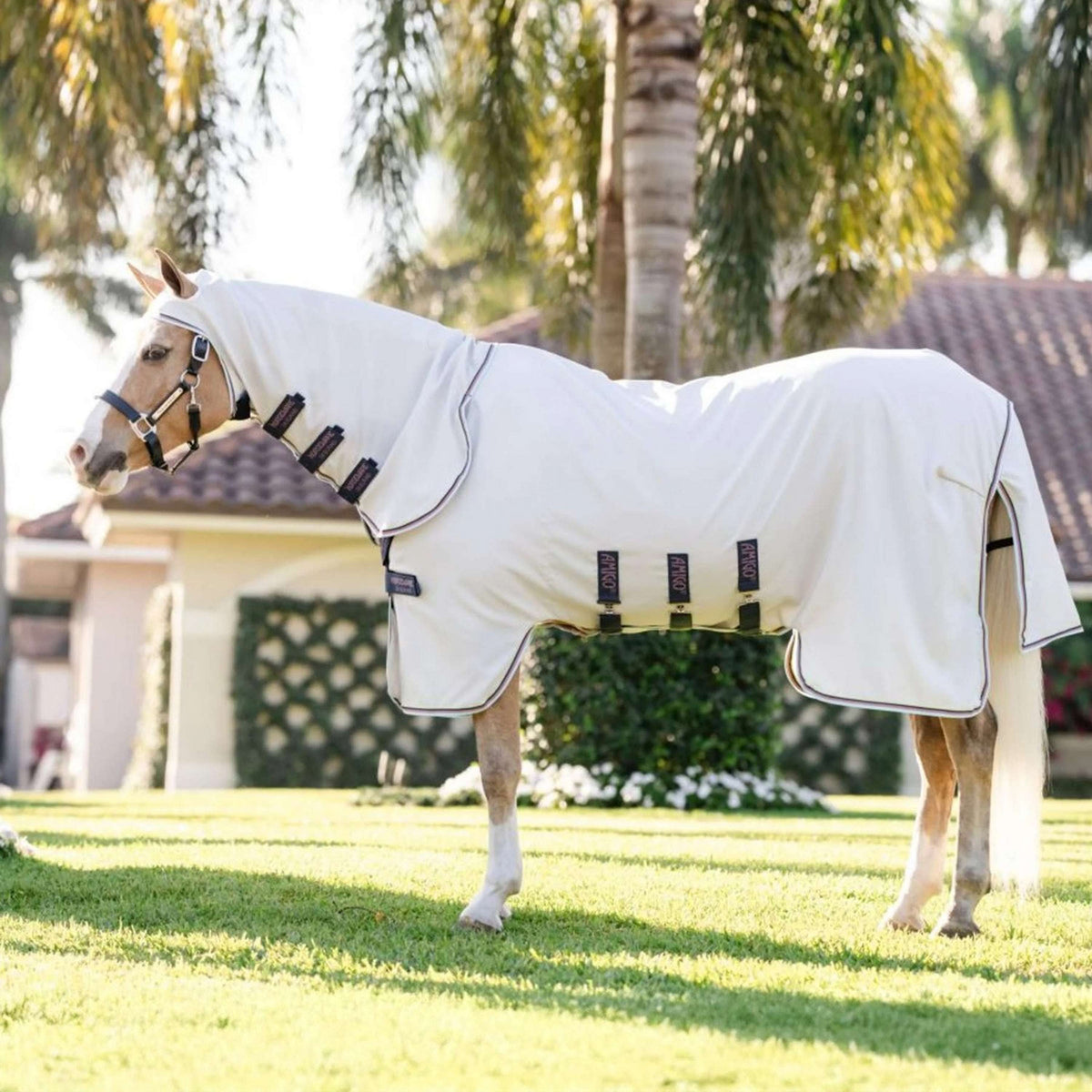 Amigo Ripstop Hoody Pony Argent/Lime/Marine/Rose/Bleu