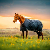 Amigo Ripstop 900D 100g Witney Navy