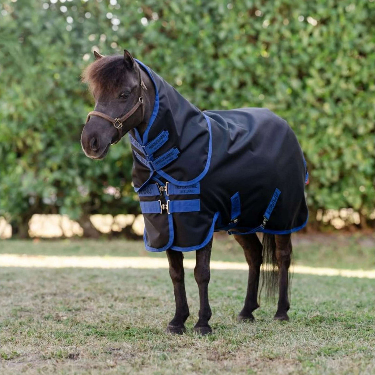 Amigo Ripstop 900D Plus Petite 0g Noir/Bleu classique