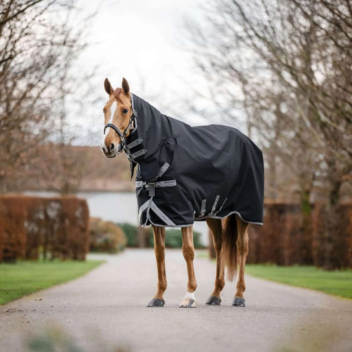 Amigo Chemise Turnout 1200D Integrated 0g Noir/Gris Titane/Argent