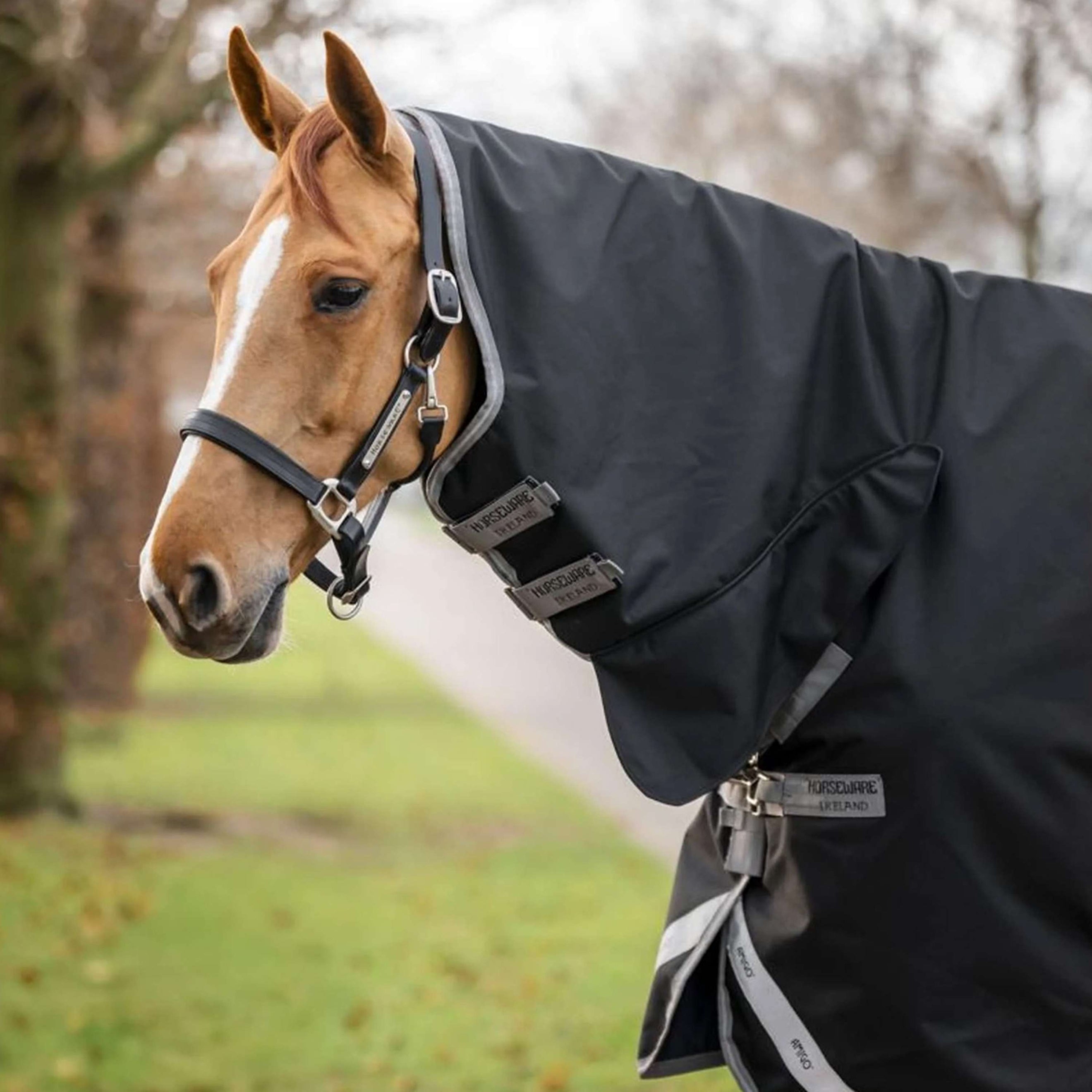 Amigo Chemise Turnout 1200D Integrated 0g Noir/Gris Titane/Argent Amigo Chemise Turnout 1200D Integrated 0g Noir/Gris Titane/Argent
