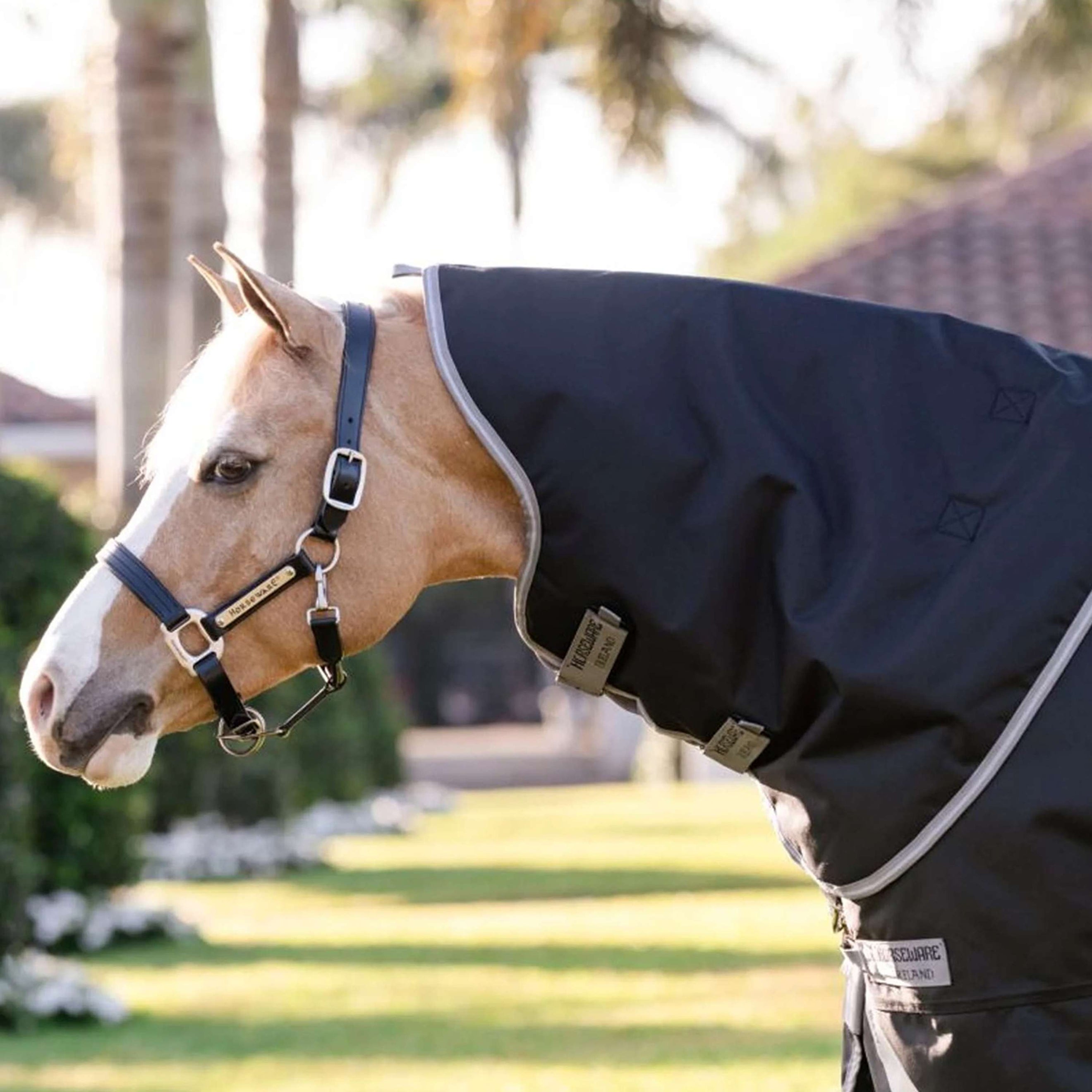 Amigo Chemise Turnout 1200D Plus Pony 0g Noir/Gris Titane/Argent Amigo Chemise Turnout 1200D Plus Pony 0g Noir/Gris Titane/Argent