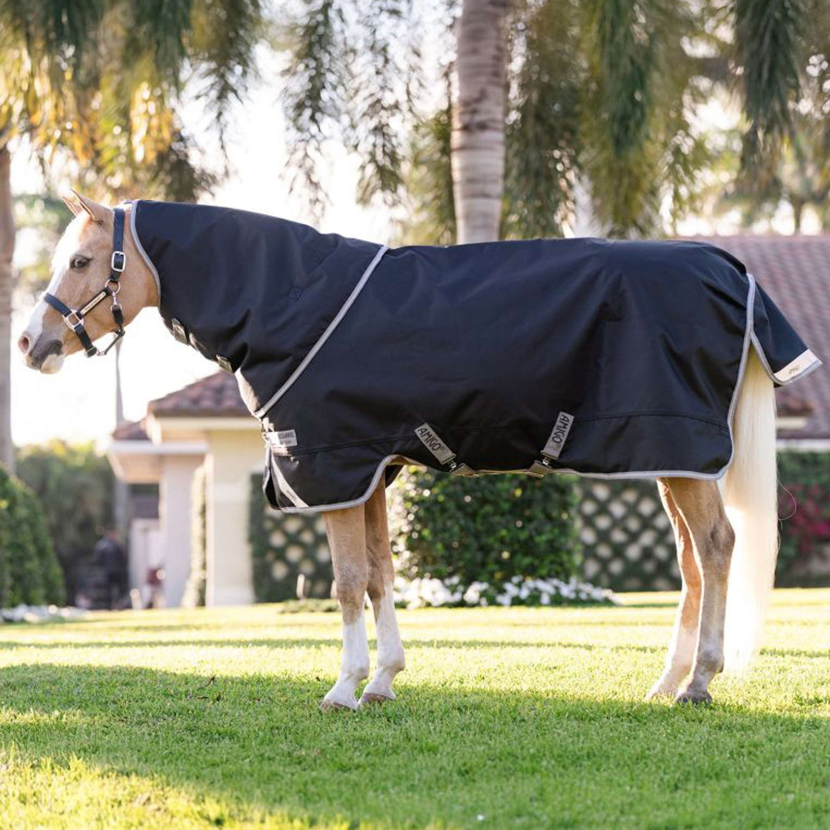 Amigo Chemise Turnout 1200D Plus Pony 0g Noir/Gris Titane/Argent
