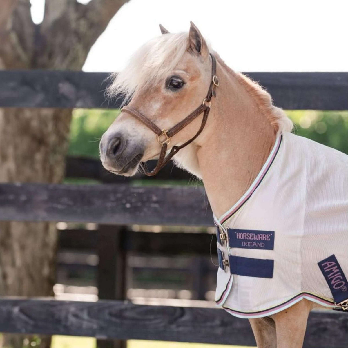 Amigo Bug Rug Plus Petite Argent/Lime/Marine/Rose/Bleu