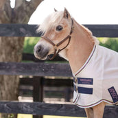 Amigo Bug Rug Plus Petite Argent/Lime/Marine/Rose/Bleu