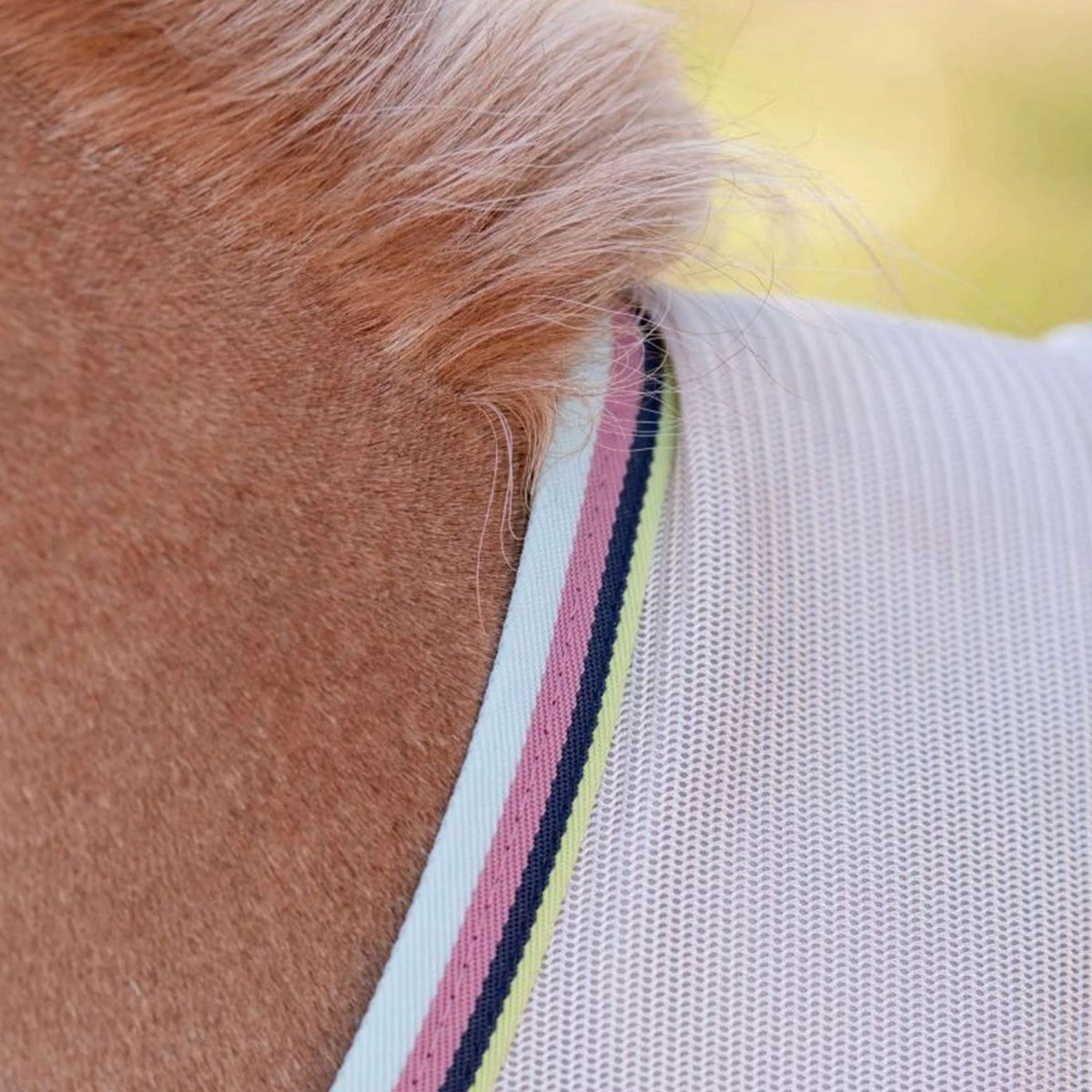 Amigo Bug Rug Plus Petite Argent/Lime/Marine/Rose/Bleu