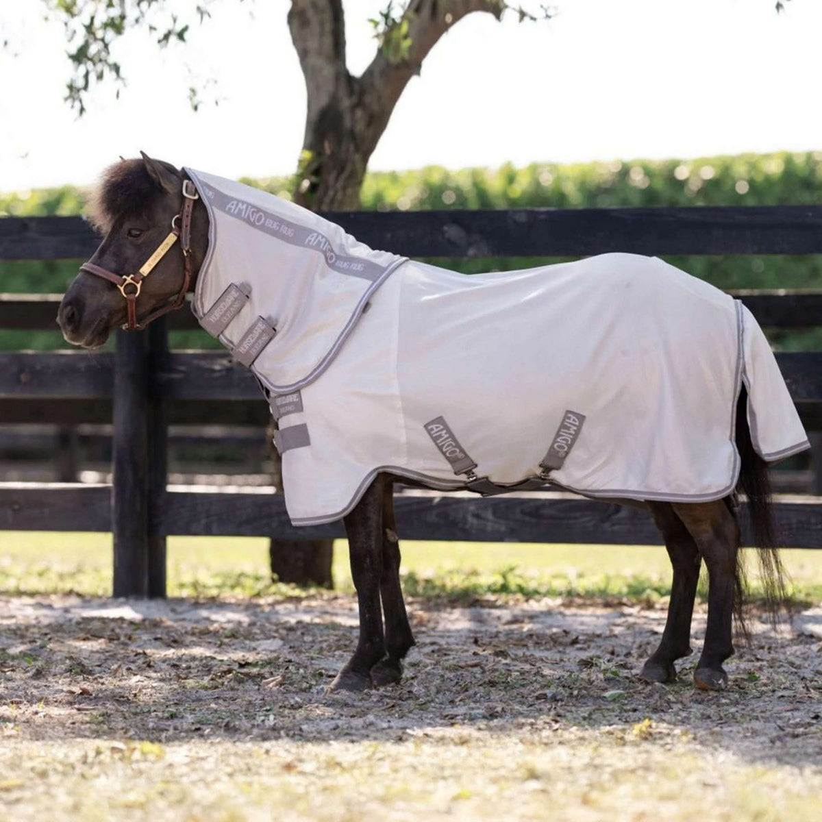 Amigo Bug Rug Plus Petite Argent/Gris Titane/Argent