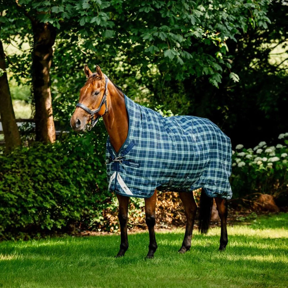 Rhino Wug Turnout 0g Hunter Check/Marine/Vert