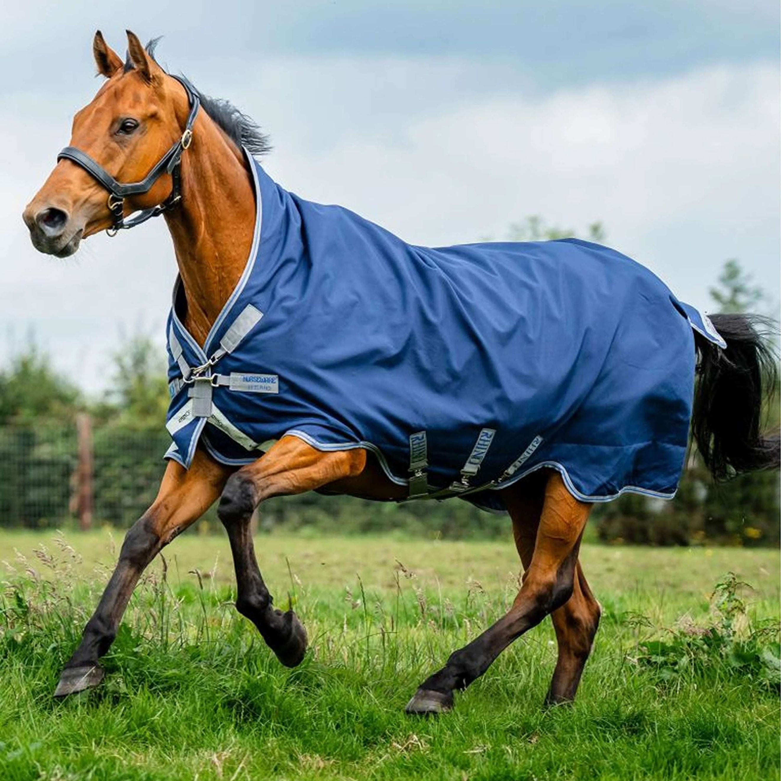 Rhino Wug Turnout 0g Bleu marine/Gris titane/Bleu classique