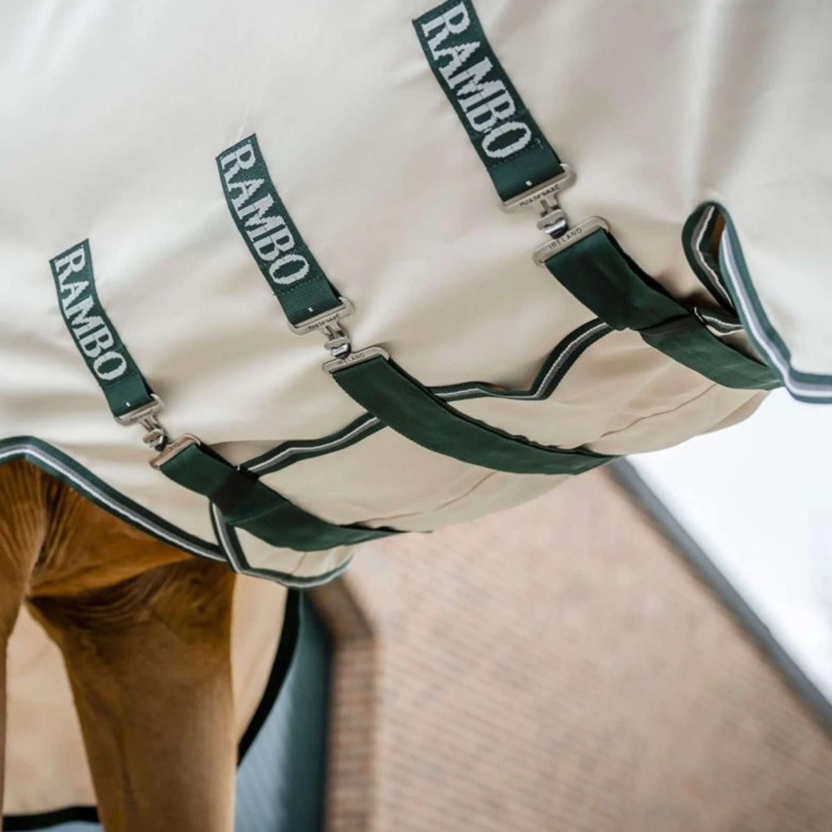 Rambo Pull col Hoodie Craie/Vert chasseur/Argent