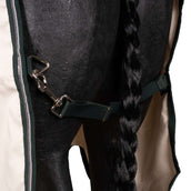 Rambo Pull col Hoodie Pony Craie/Vert chasseur/Argent