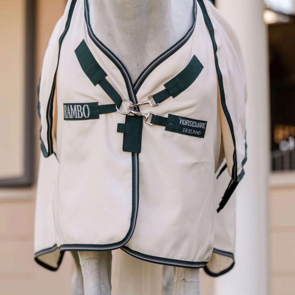 Rambo Pull col Hoodie Pony Craie/Vert chasseur/Argent