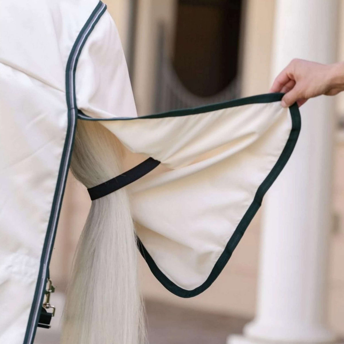 Rambo Pull col Hoodie Pony Craie/Vert chasseur/Argent