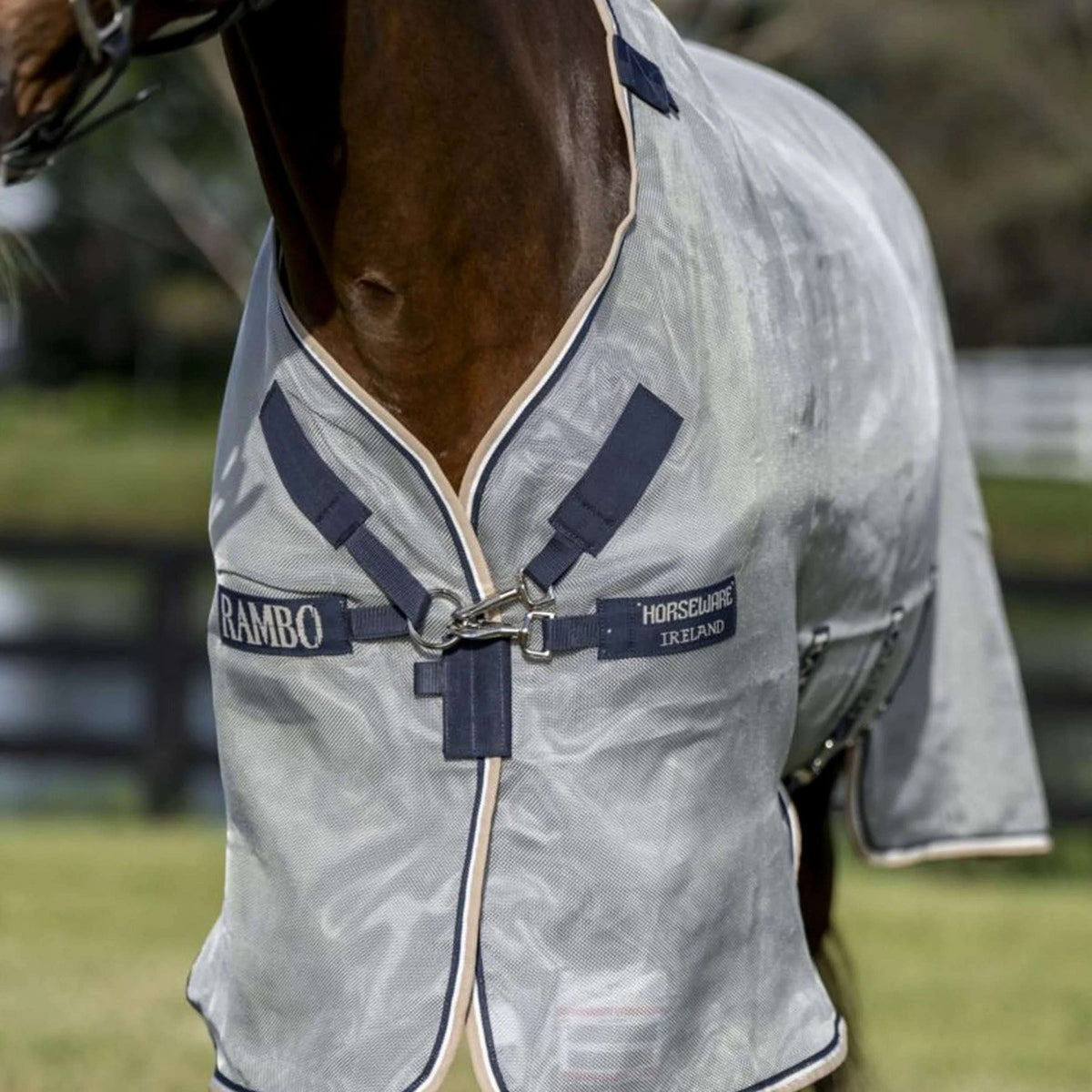 Rambo Protecteur Argent/Marine/Blanc/Beige