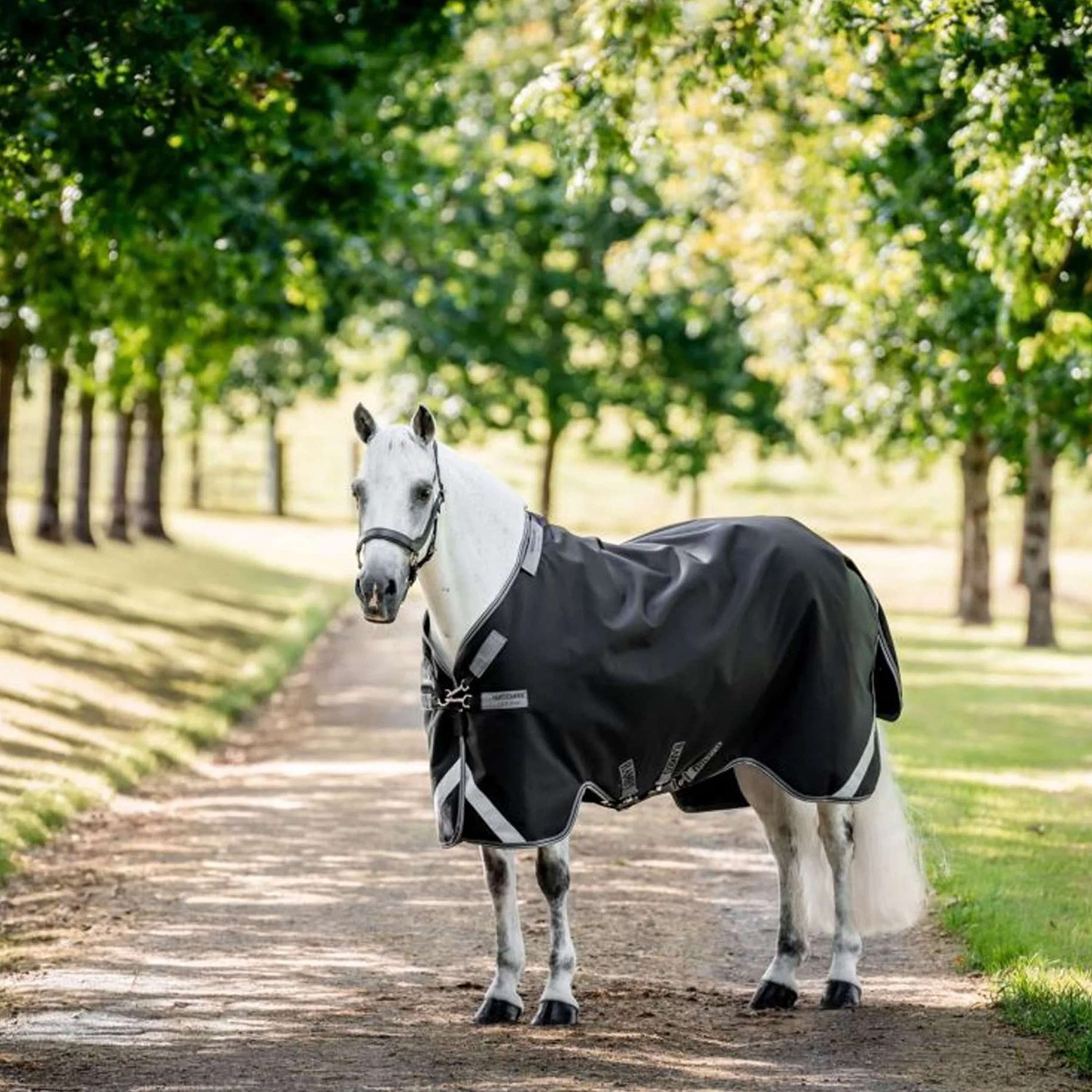 Rambo Chemise Turnout 1680D 0g Noir/Thunderstorm Grey/Silver