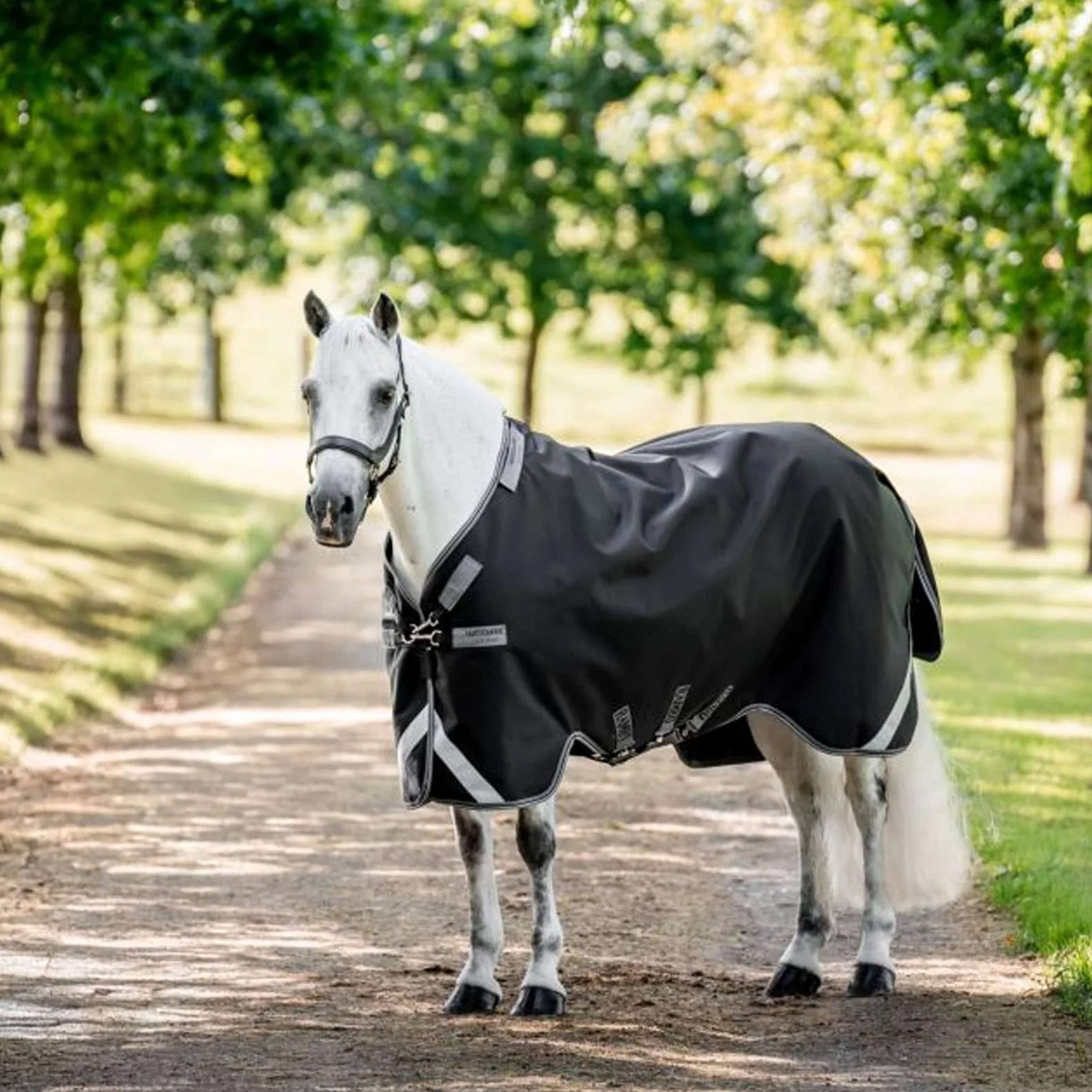 Rambo Chemise Turnout 1680D 50g Noir/Thunderstorm Grey/Silver