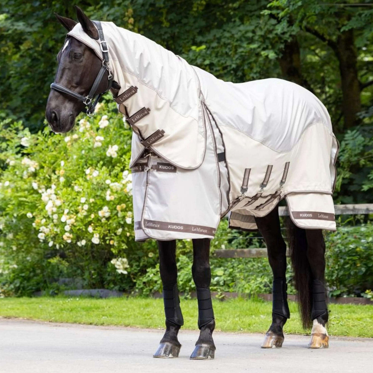 LeMieux Couverture Anti-Eczema Kudos Shower Pro Sweet Itch Pierre