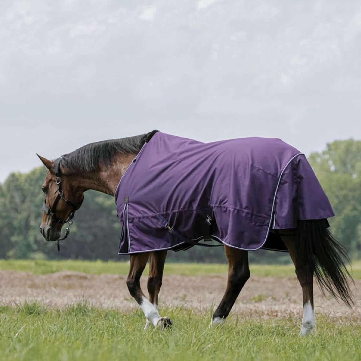 EQUITHÈME Couverture d'Extérieur Tyrex Aisance 600D 50g