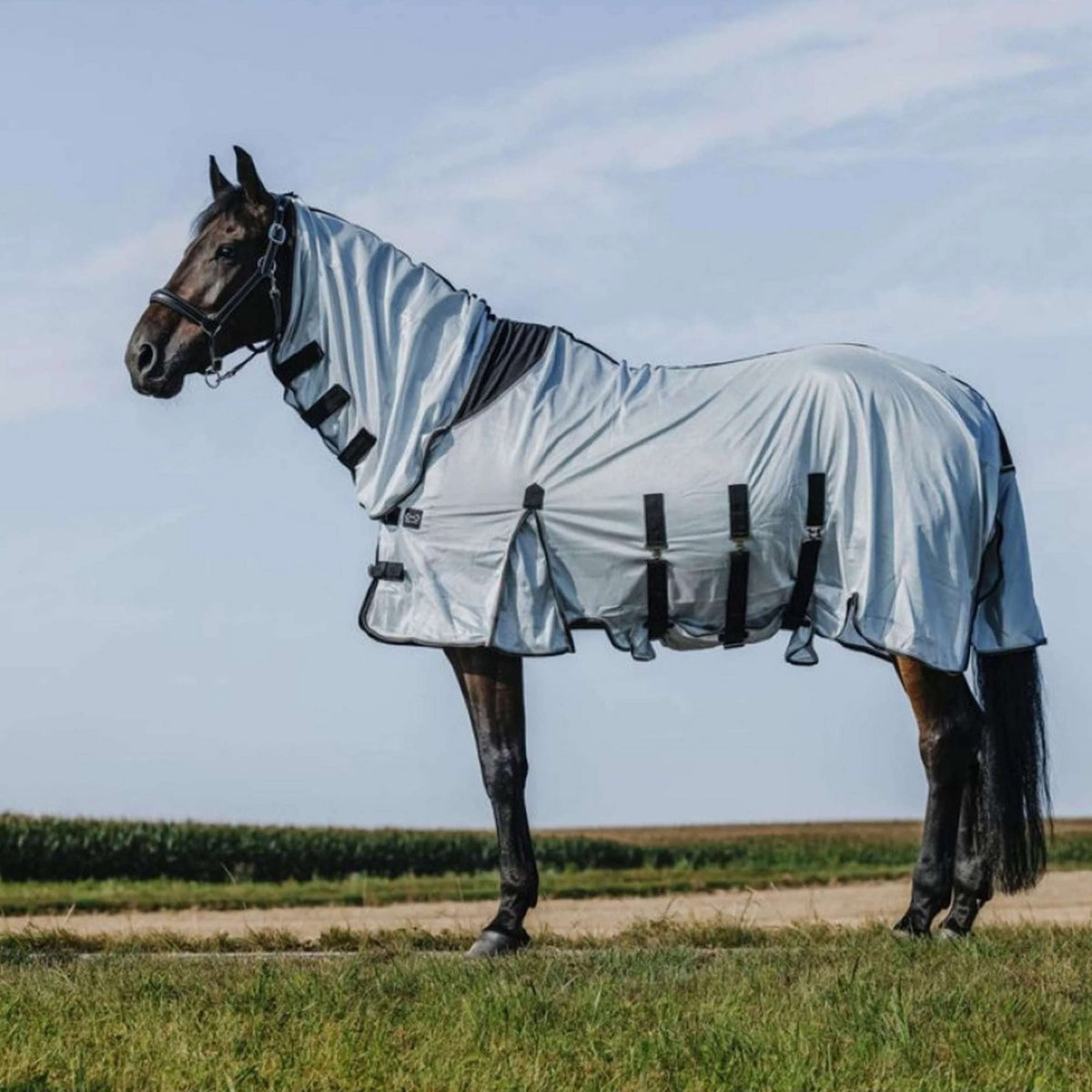 Riding World Couverture Anti-Mouches Belly Mesh Combo Gris