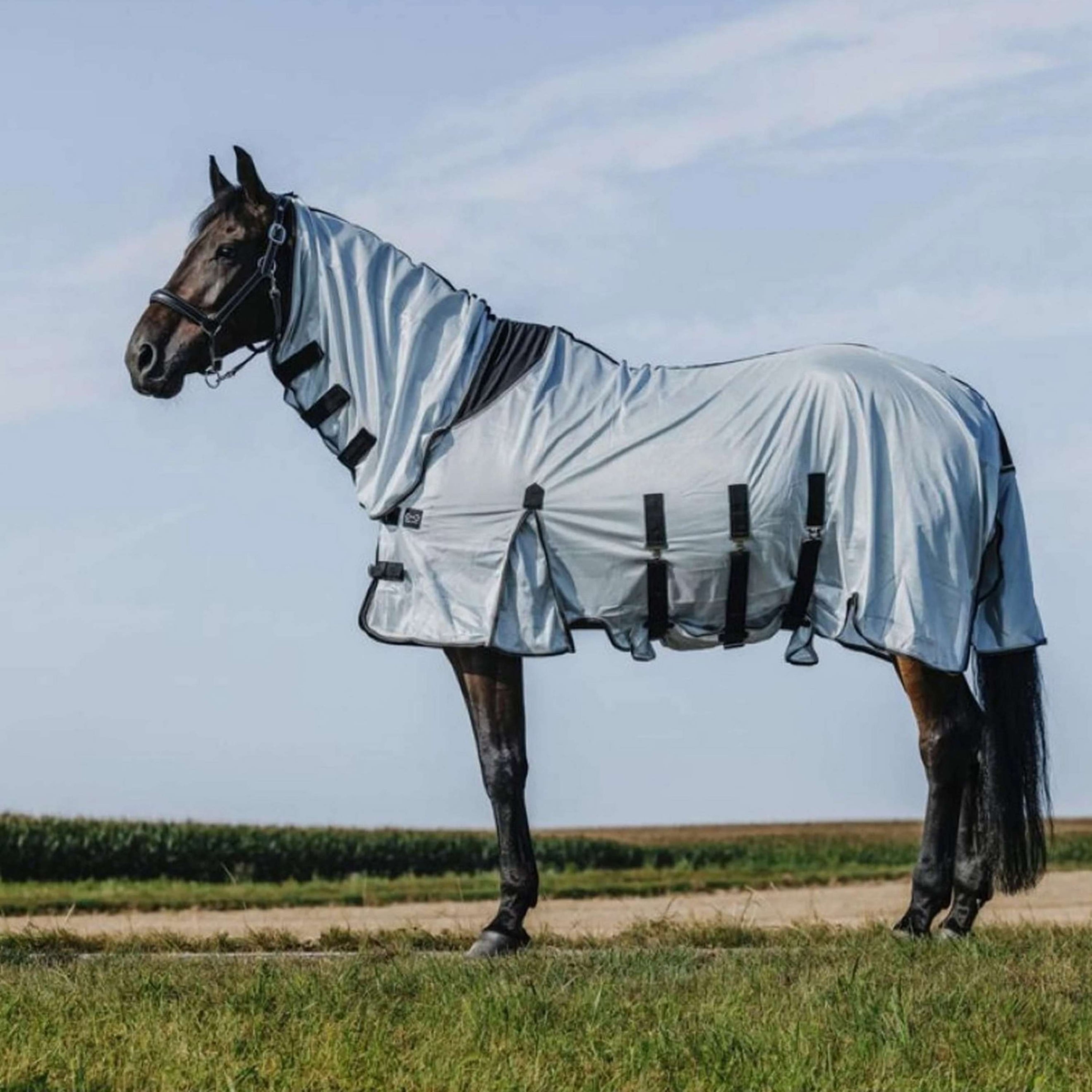 Riding World Couverture Anti-Mouches Belly Mesh Combo Gris