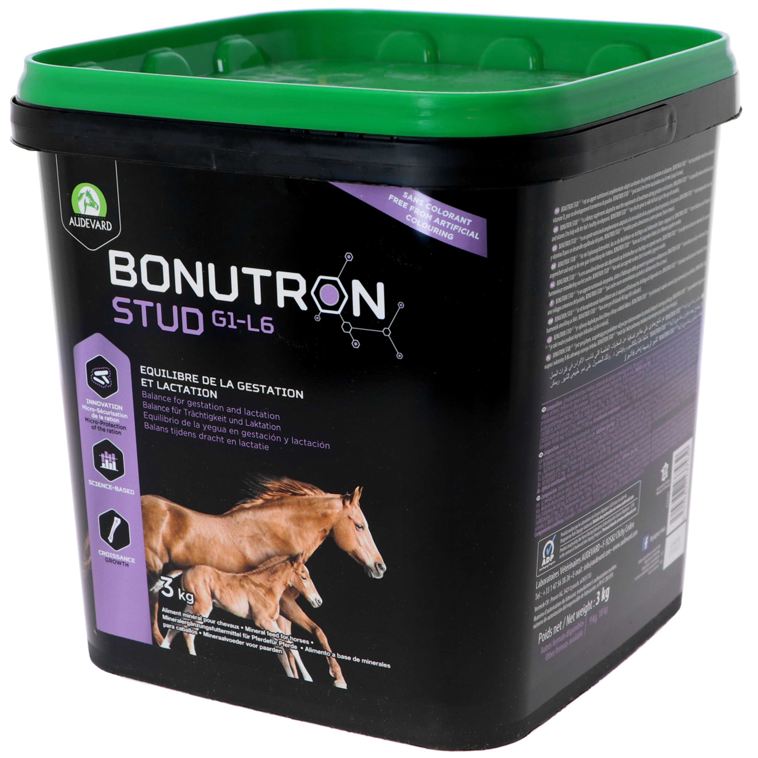 Audevard Bonutron Stud Audevard Bonutron Stud