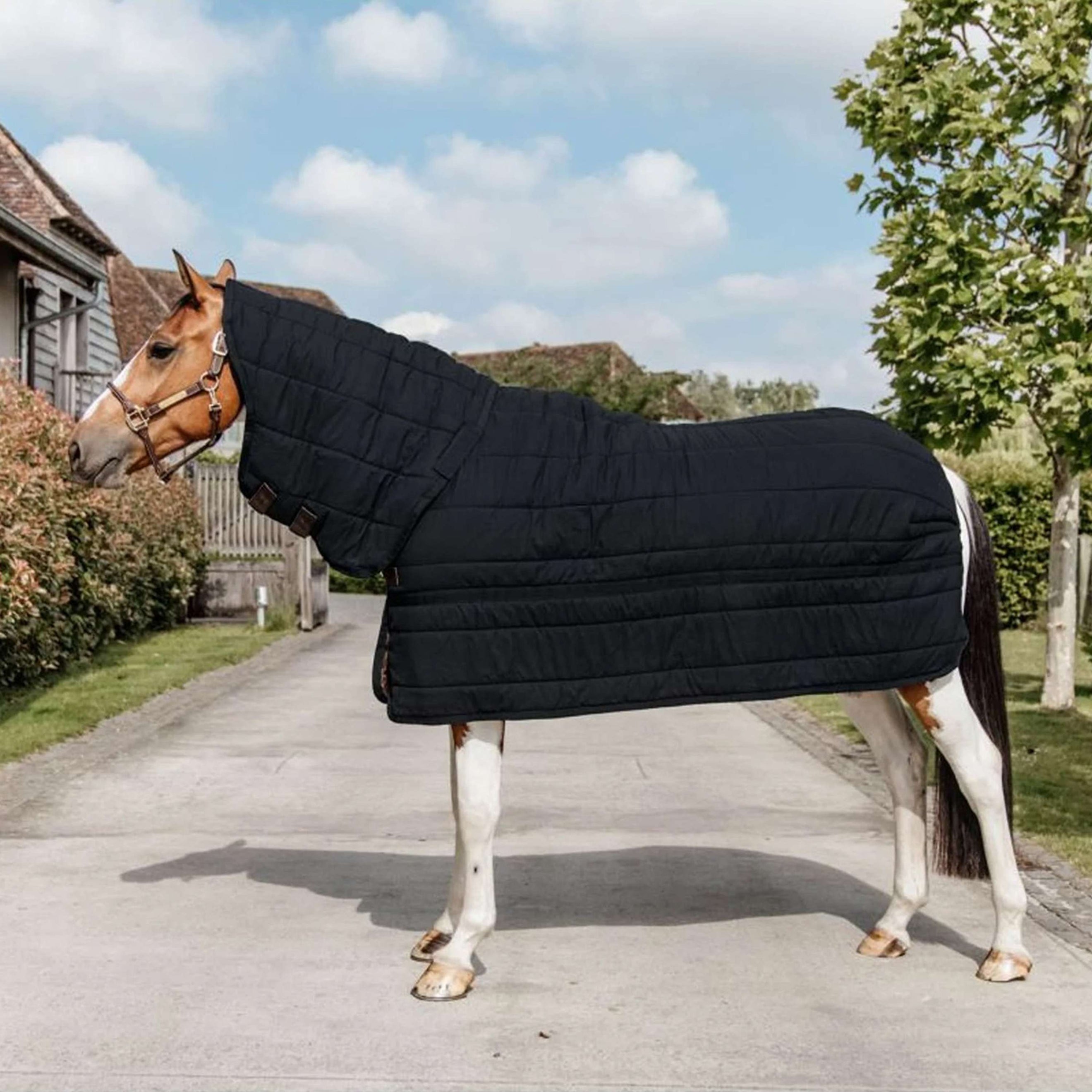 Kentucky Sous-Couverture Skin Friendly Neck 150g Noir