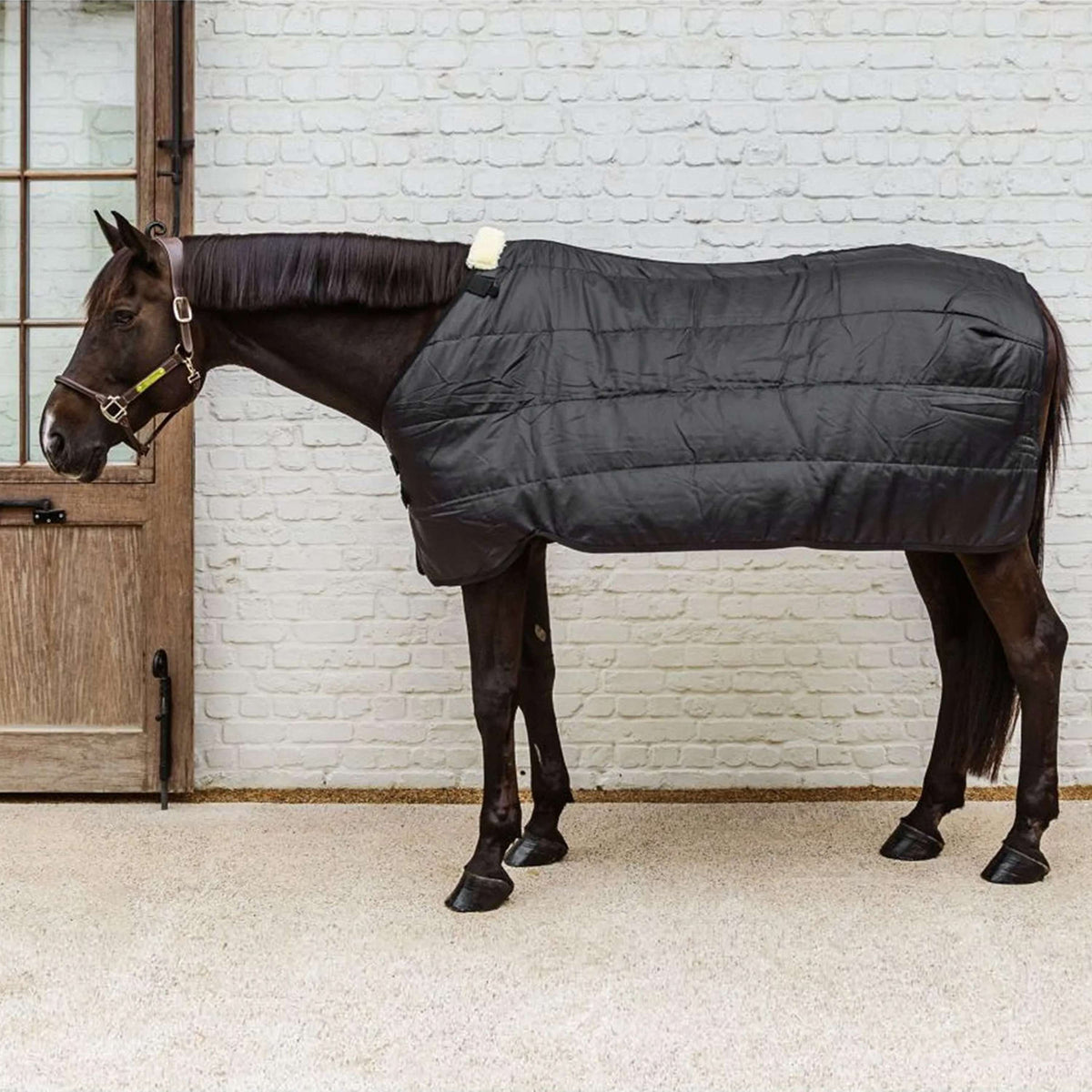Kentucky Turnout Rug Comfort Liner Pro 100g Noir