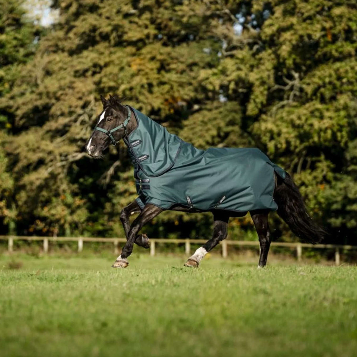 Amigo Couvre-Cou Ripstop 900D 0g Dynasty Green/Navy/Silver