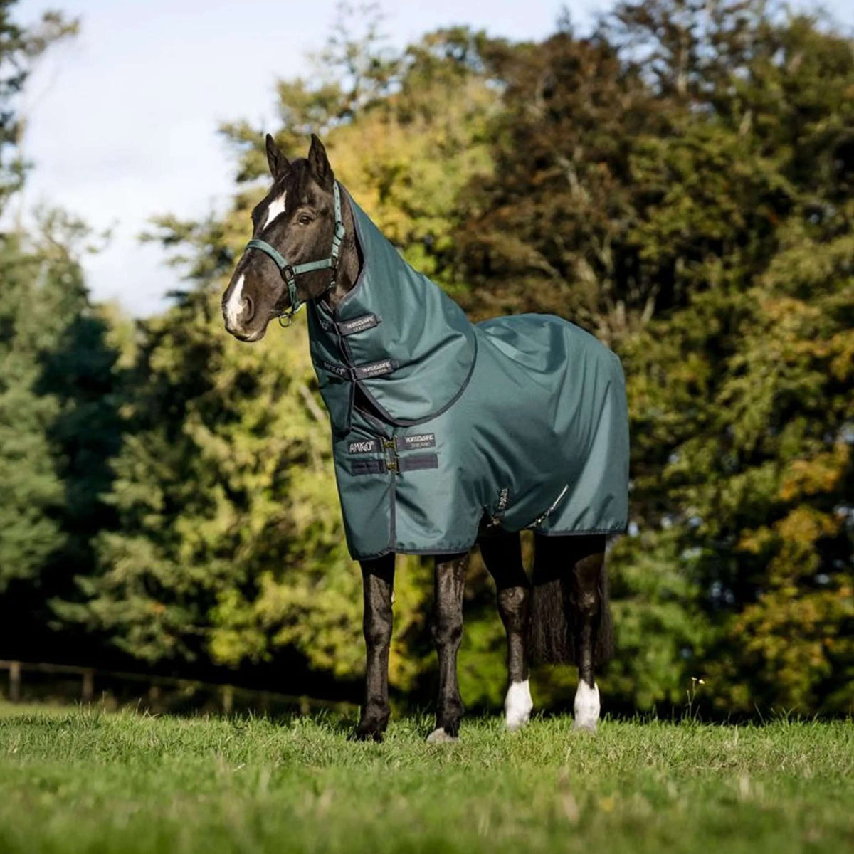 Amigo Couvre-Cou Ripstop 900D 0g Dynasty Green/Navy/Silver