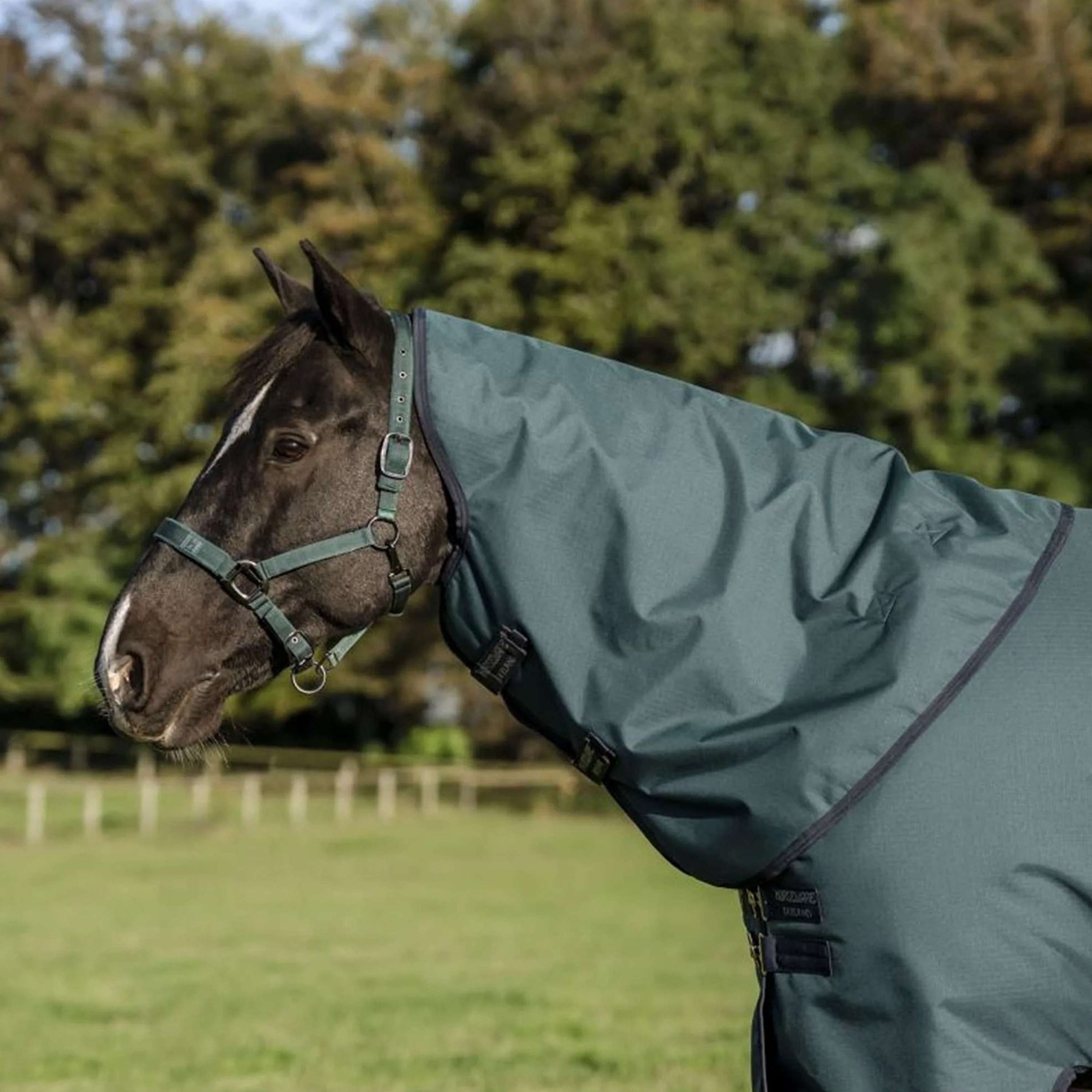 Amigo Couvre-Cou Ripstop 900D 150g Dynasty Green/Navy/Silver