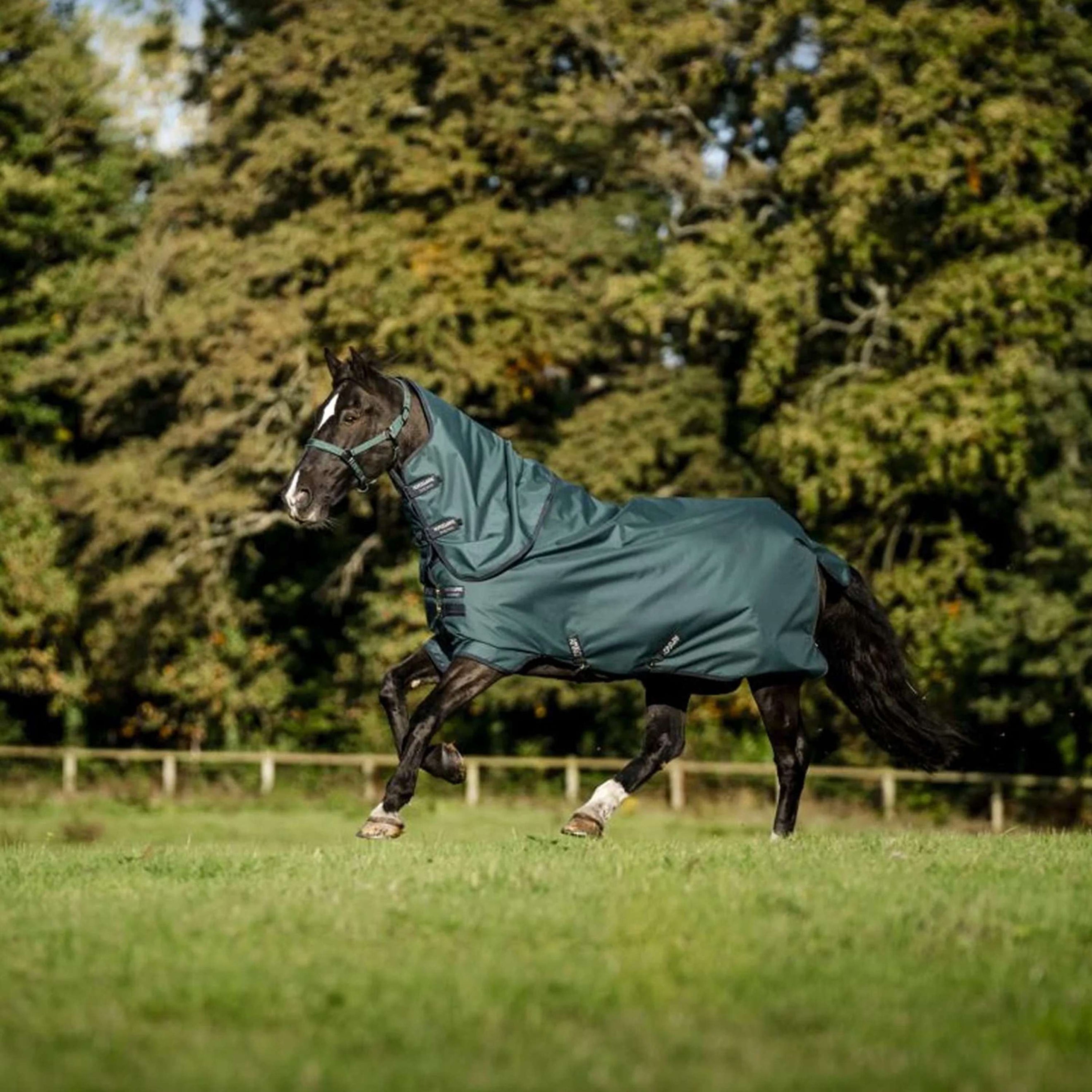 Amigo Ripstop 900D Plus 0g Dynasty Green/Navy/Silver Amigo Ripstop 900D Plus 0g Dynasty Green/Navy/Silver