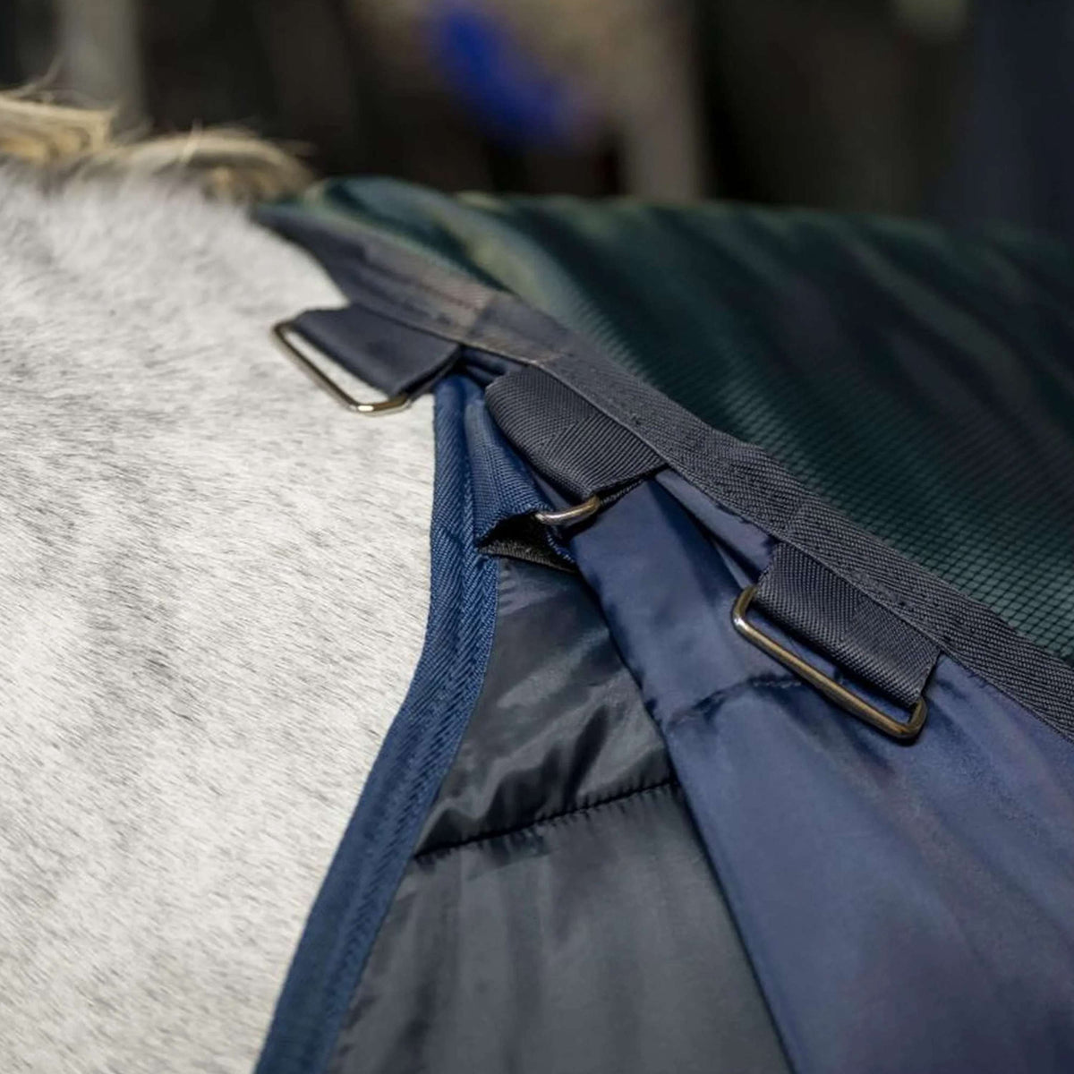 Amigo Ripstop Insulator Stable 200g Dynasty Green/Navy/Silver