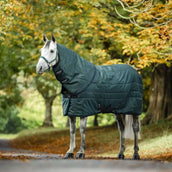 Amigo Couvre-Cou Ripstip Insulator Stable 200g Dynasty Green/Navy/Silver