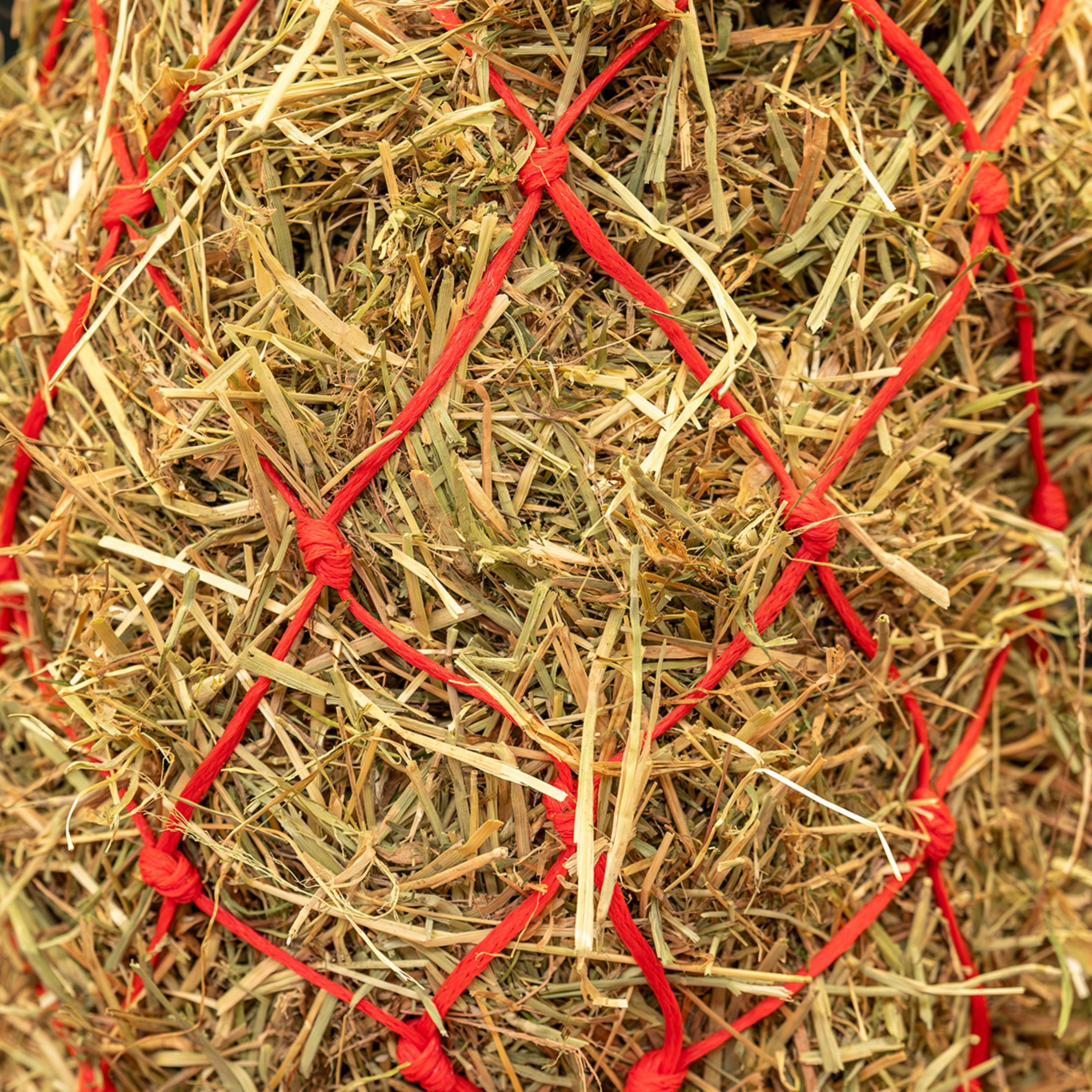 Agradi Horse Filet à Foin Standaard Maille grossière 8x8cm Rouge