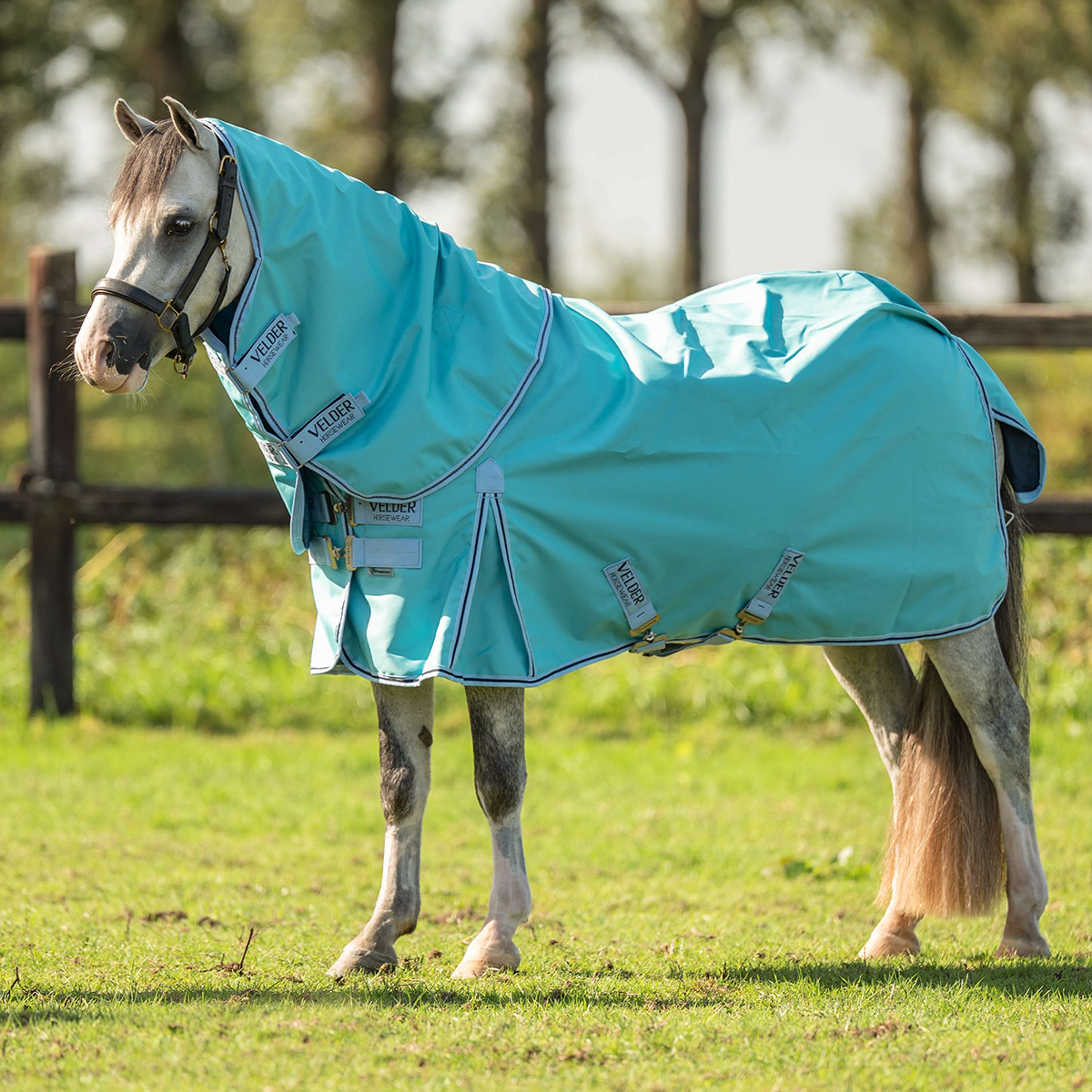 Velder Horsewear Premium Pony Turnout Rug 900D 0g Bleu ciel