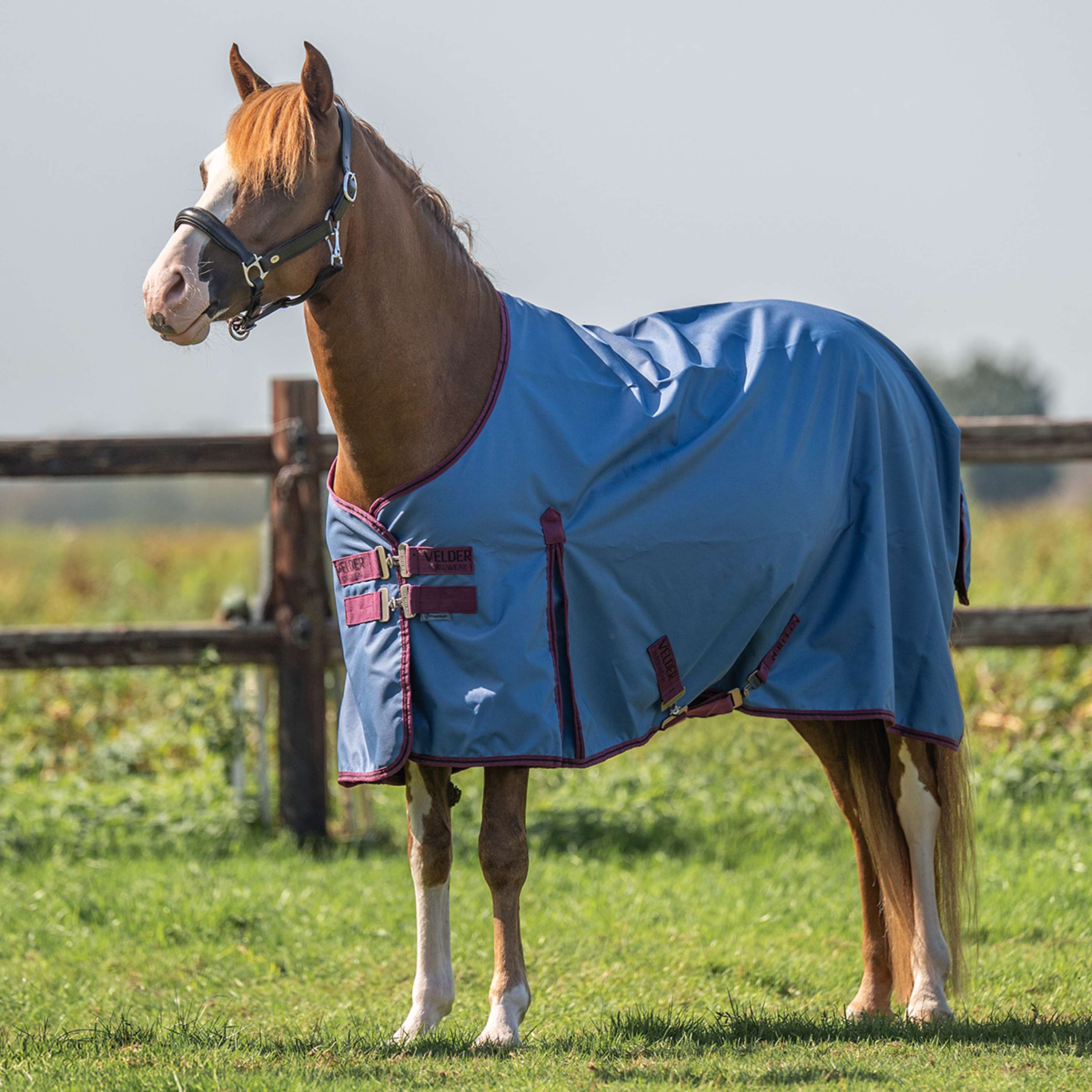 Velder Horsewear Premium Pony Turnout Rug 900D 0g Denim bleu