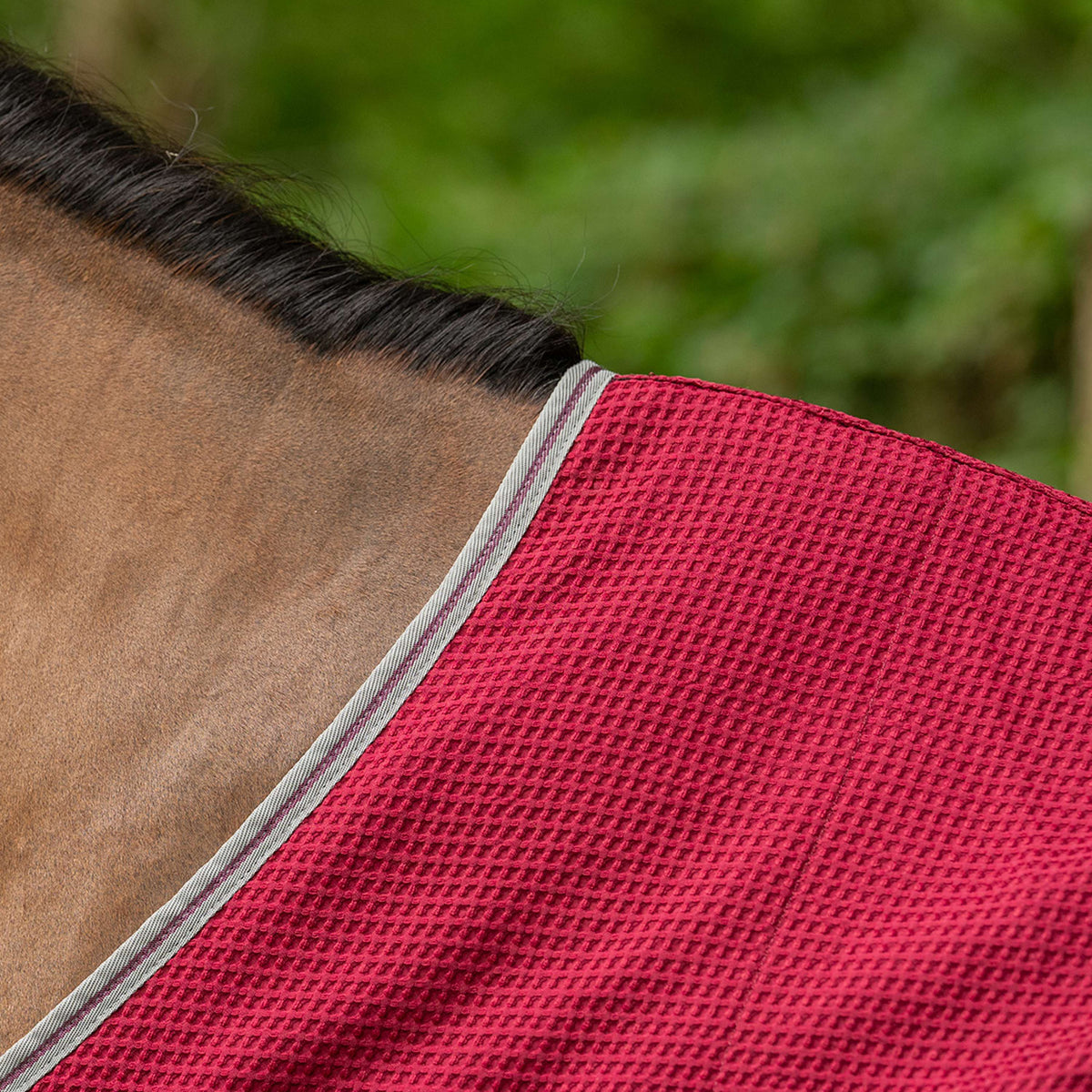 Velder Horsewear Waffle Cooler Rug Mûre Rouge