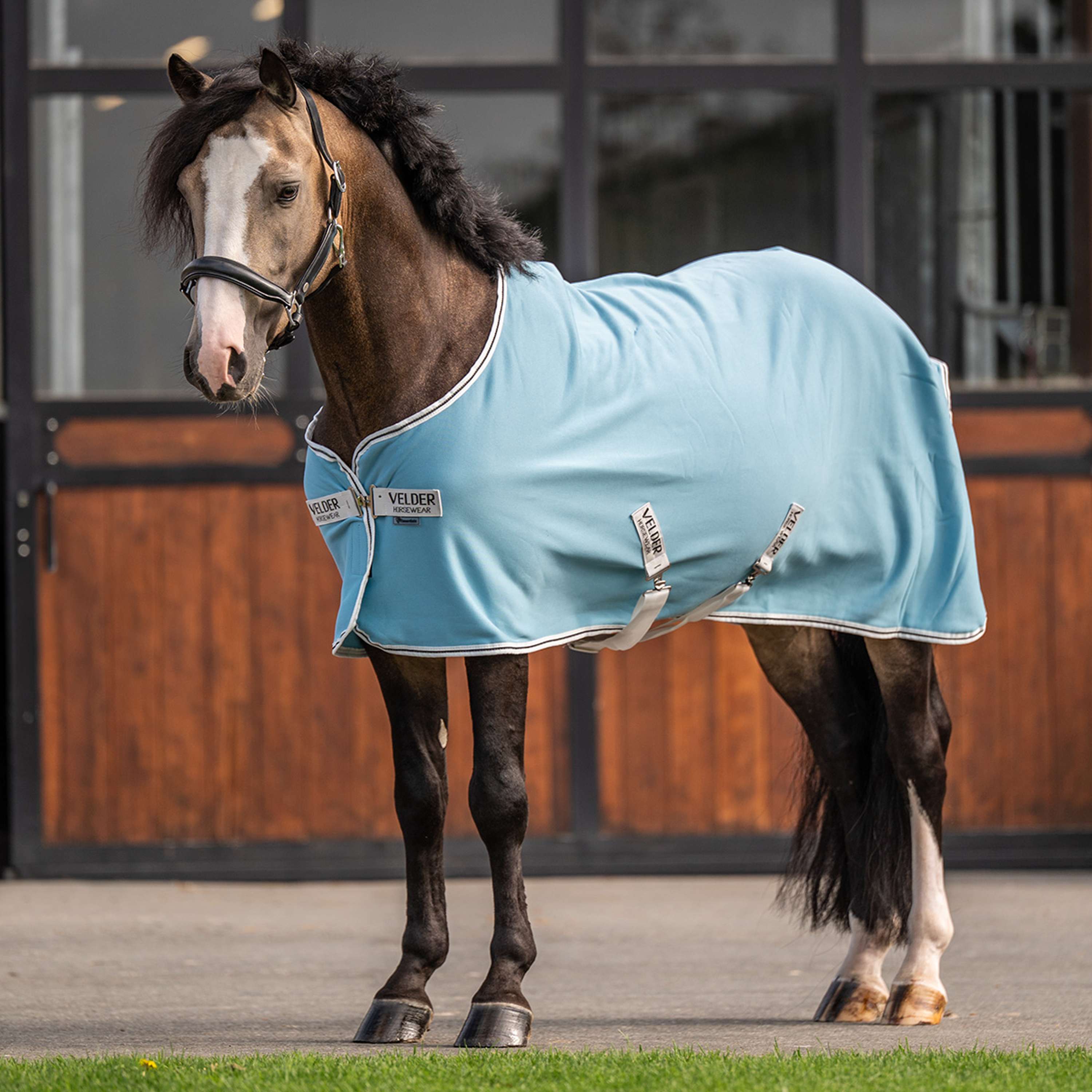 Velder Horsewear Essentials Pony Cooler Rug Aqua Bleu