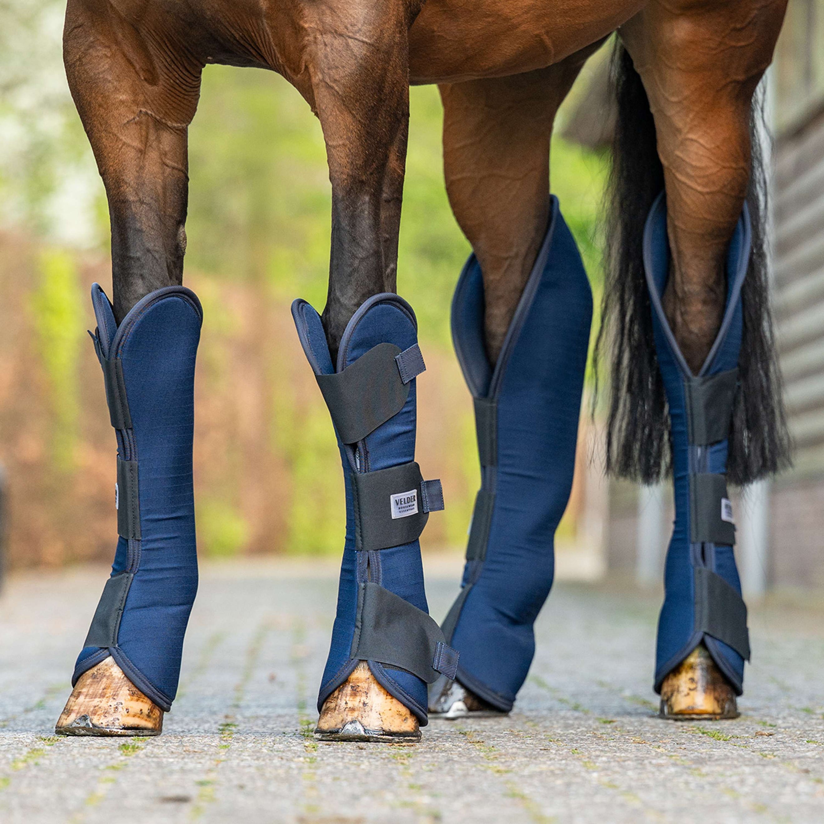 Velder Horsewear Guêtres de Transport Marin