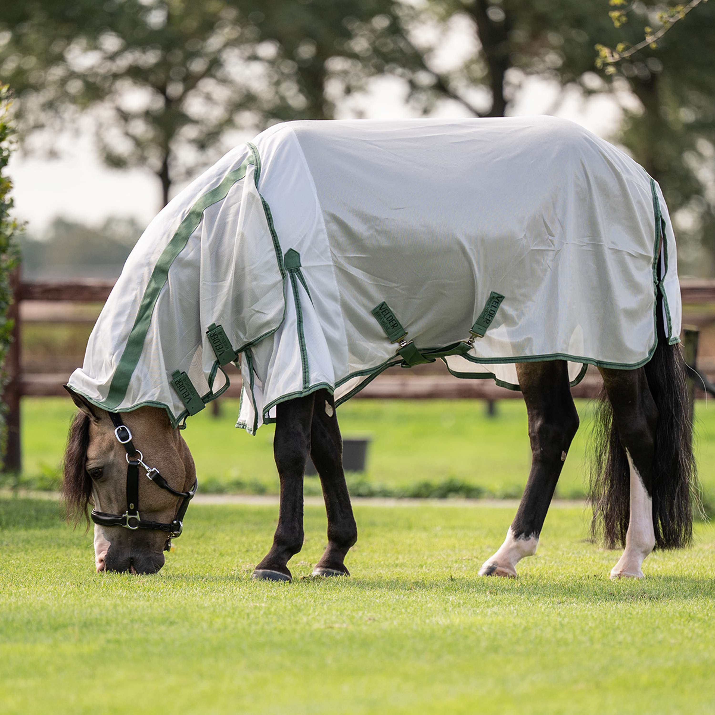 Velder Horsewear Essentials Pony Couverture Anti-Mouches Mesh avec Couvre-cou Argent