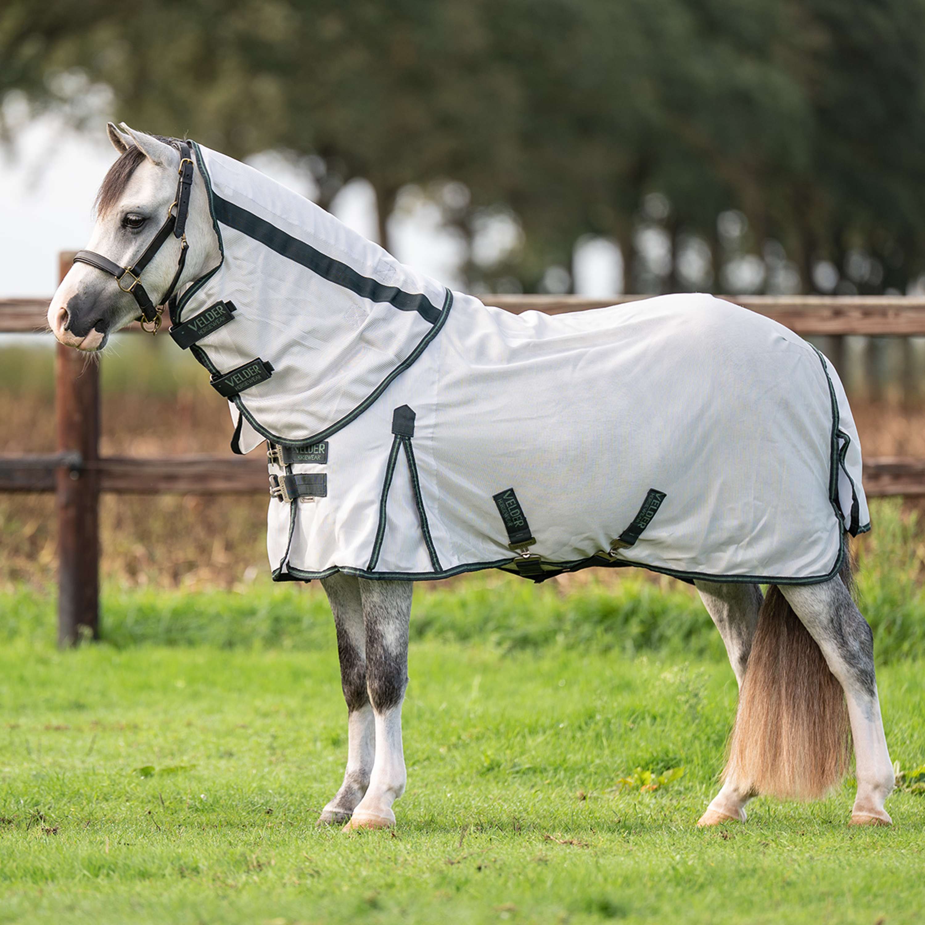 Velder Horsewear Premium Pony Couverture Anti-Mouches Guardian AirMesh Silver Mist