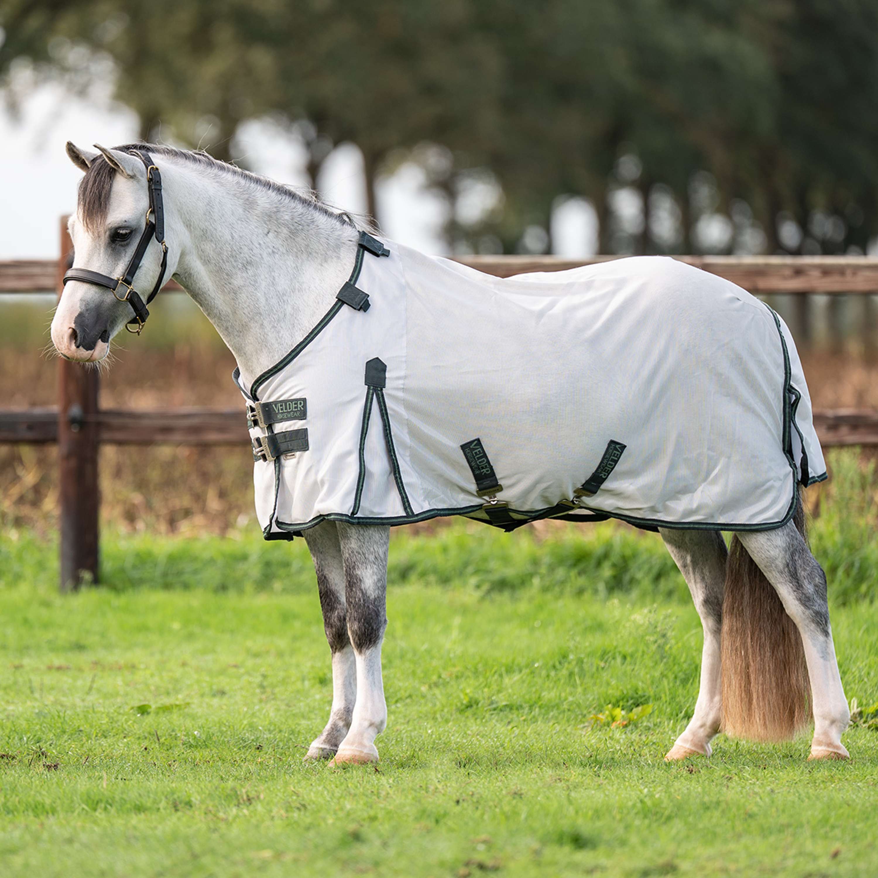 Velder Horsewear Premium Pony Couverture Anti-Mouches Guardian AirMesh Silver Mist