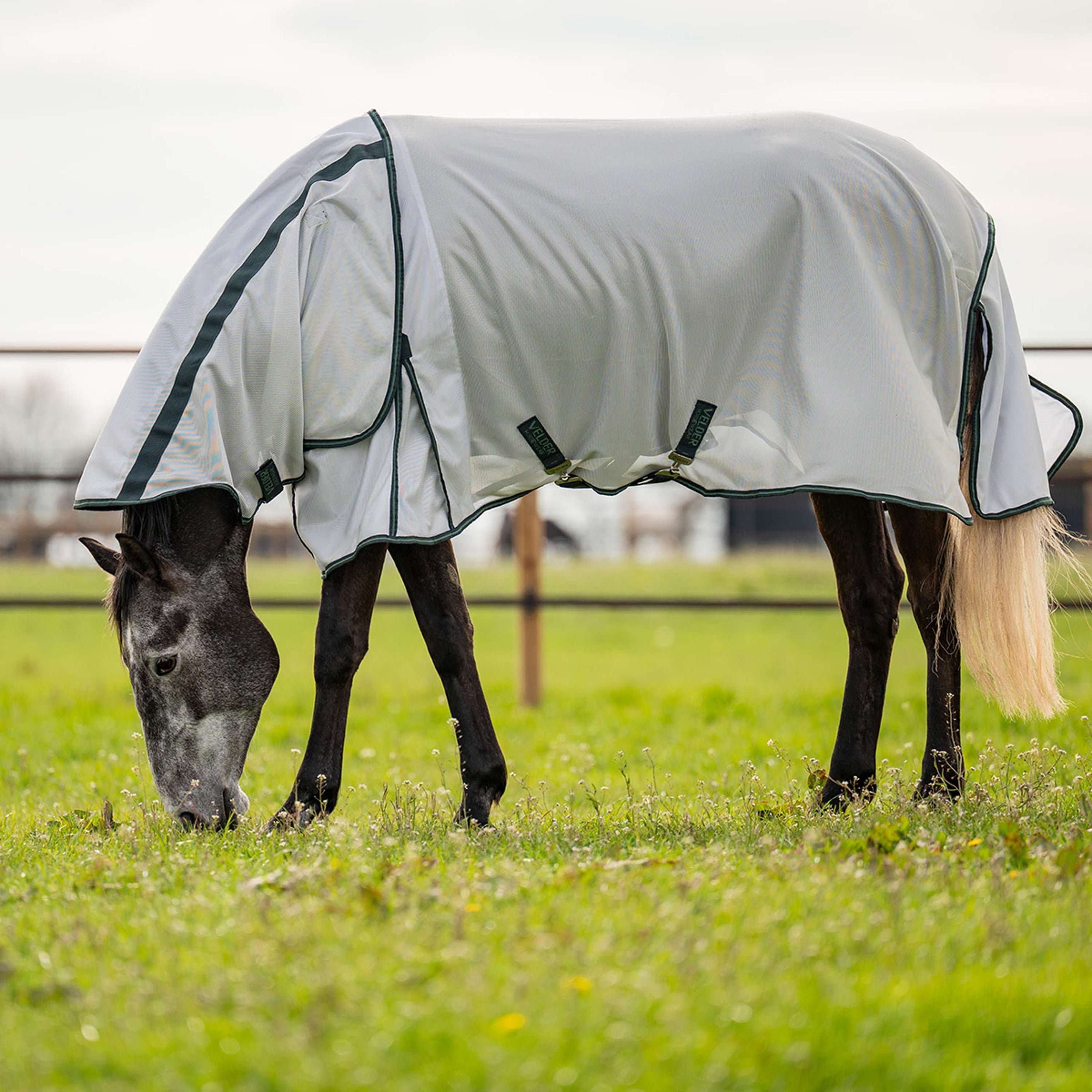Velder Horsewear Couverture Anti-Mouches Guardian AirMesh Silver Mist